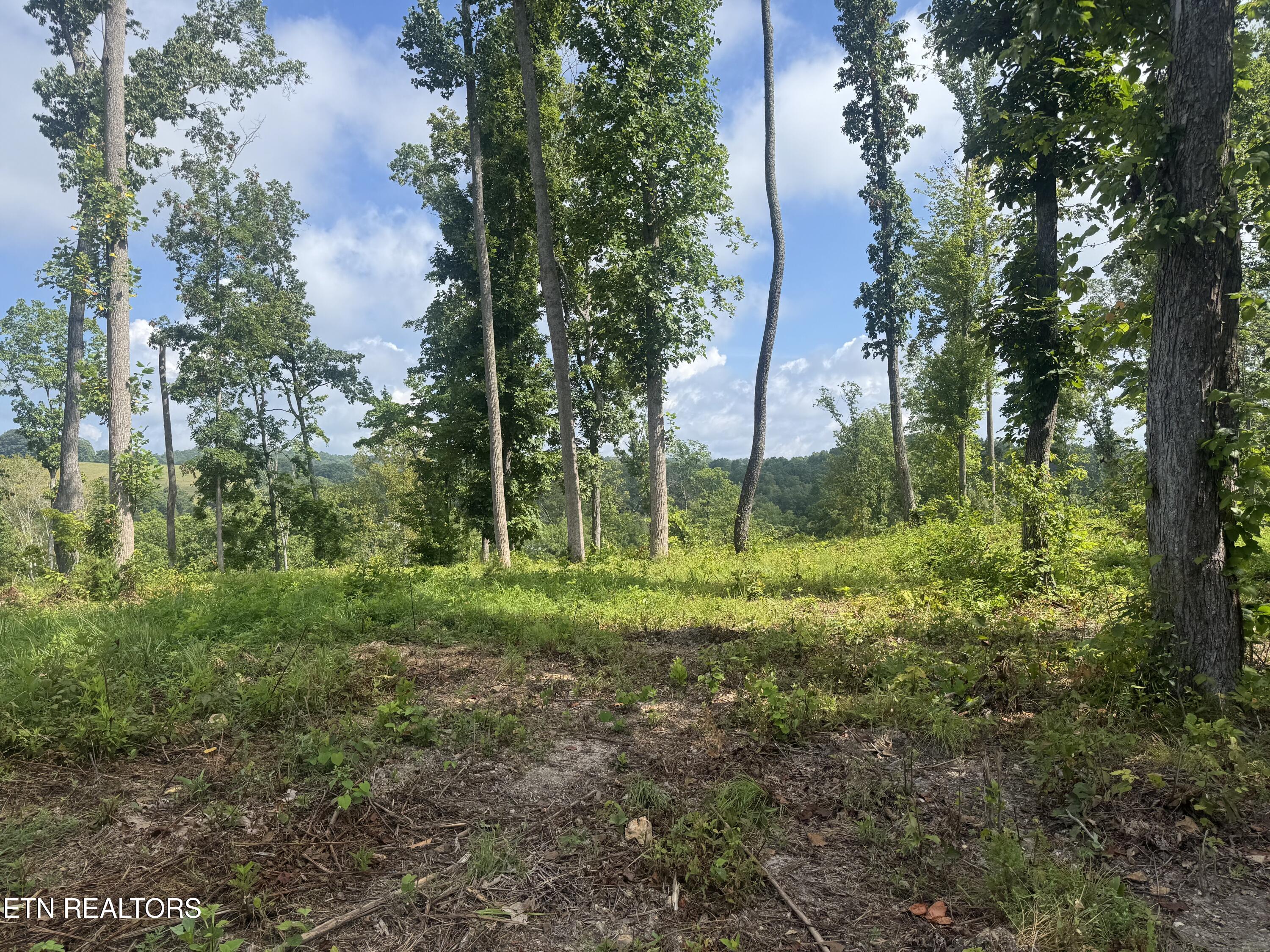 Tract 2 Mill Creek Road Andersonville TN 37705