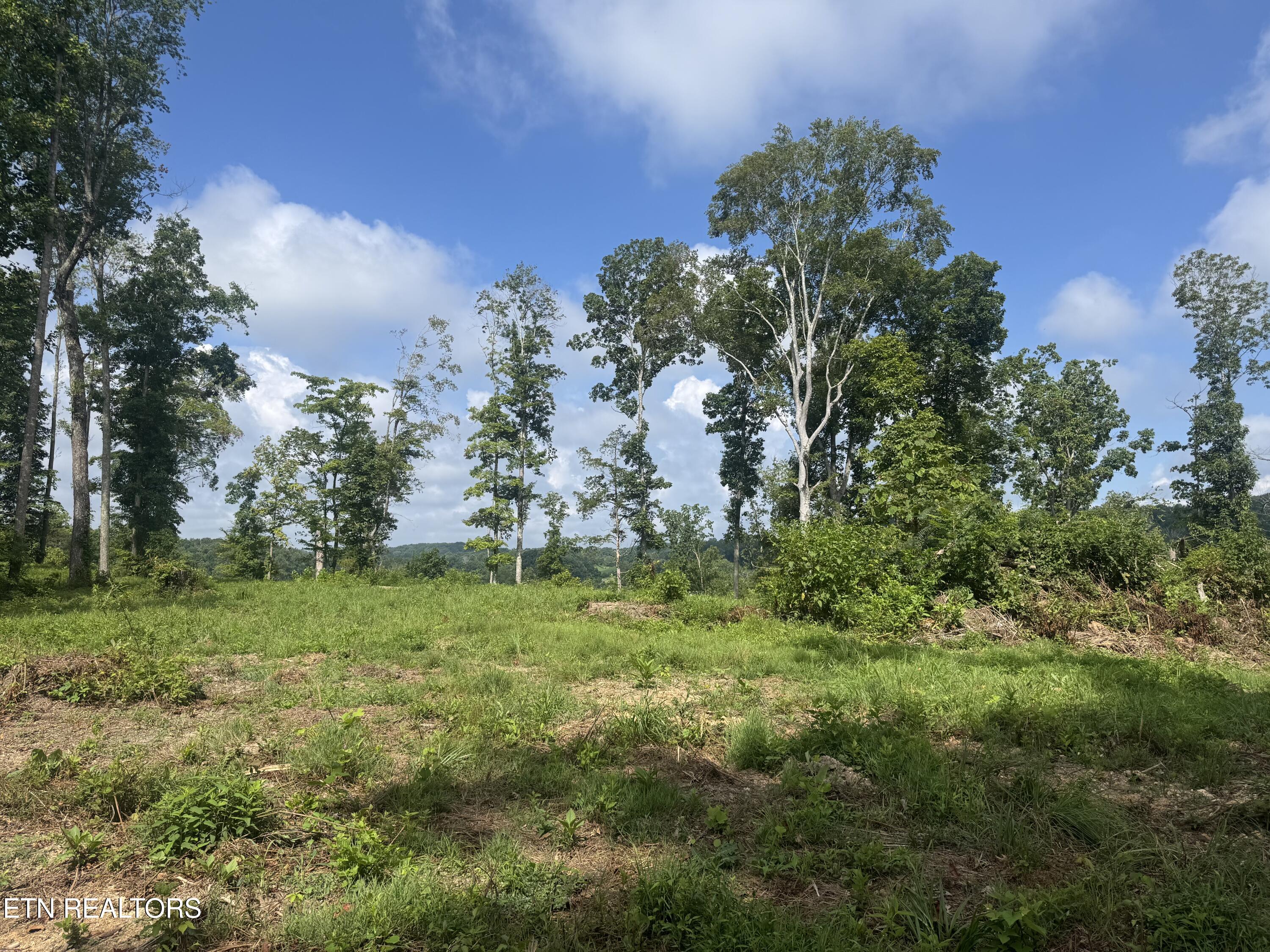 Tract 2 Mill Creek Road Andersonville TN 37705