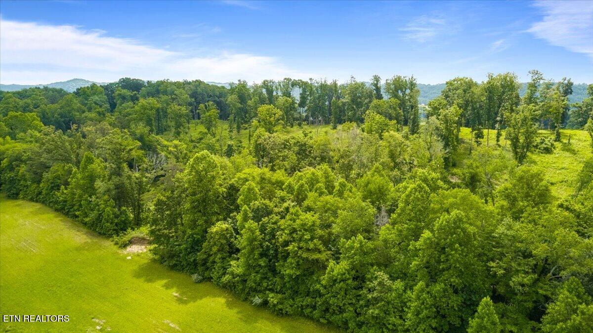 Tract 2 Mill Creek Road Andersonville TN 37705
