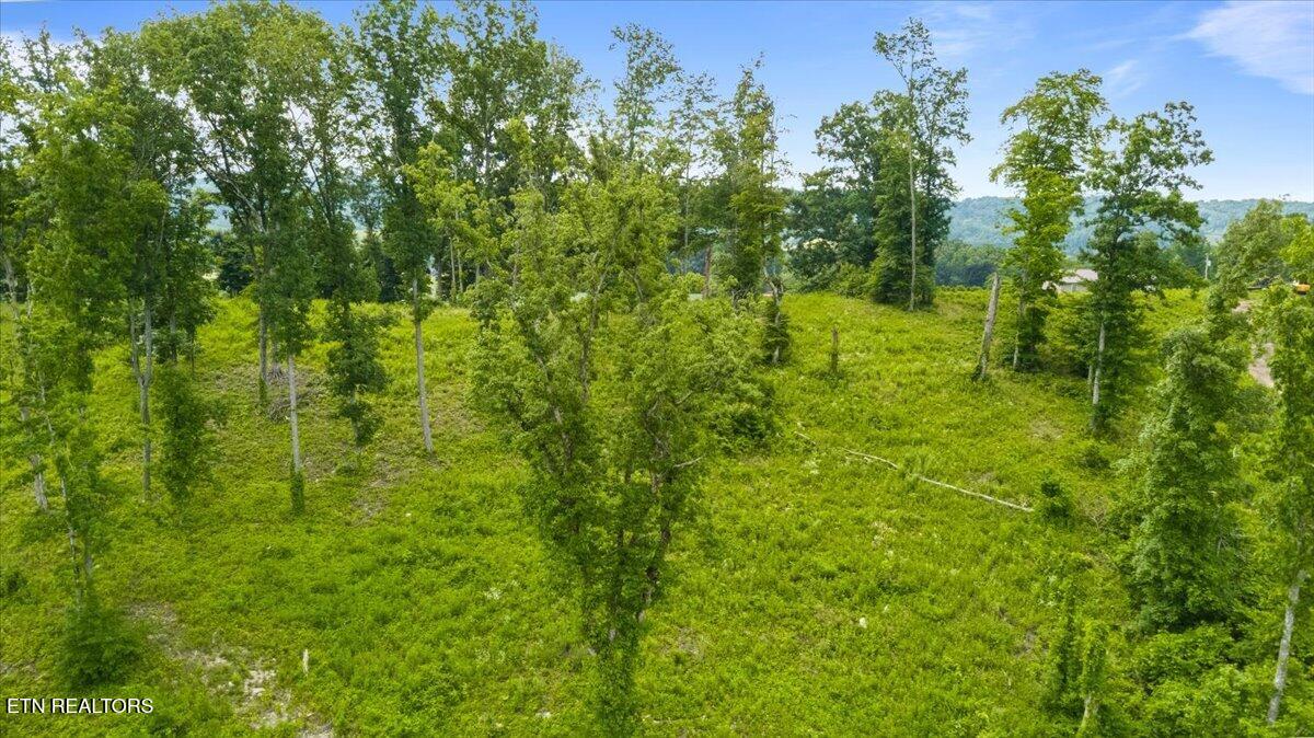 Tract 2 Mill Creek Road Andersonville TN 37705