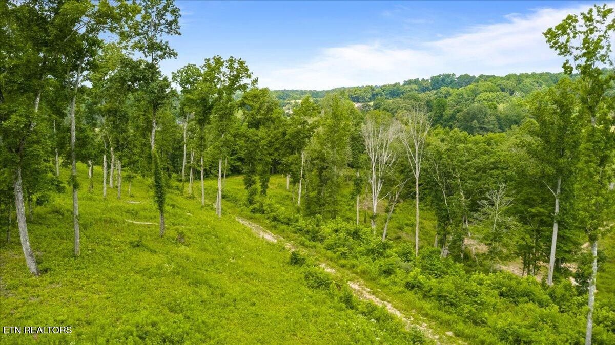 Tract 2 Mill Creek Road Andersonville TN 37705