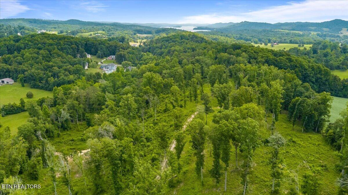 Tract 2 Mill Creek Road Andersonville TN 37705
