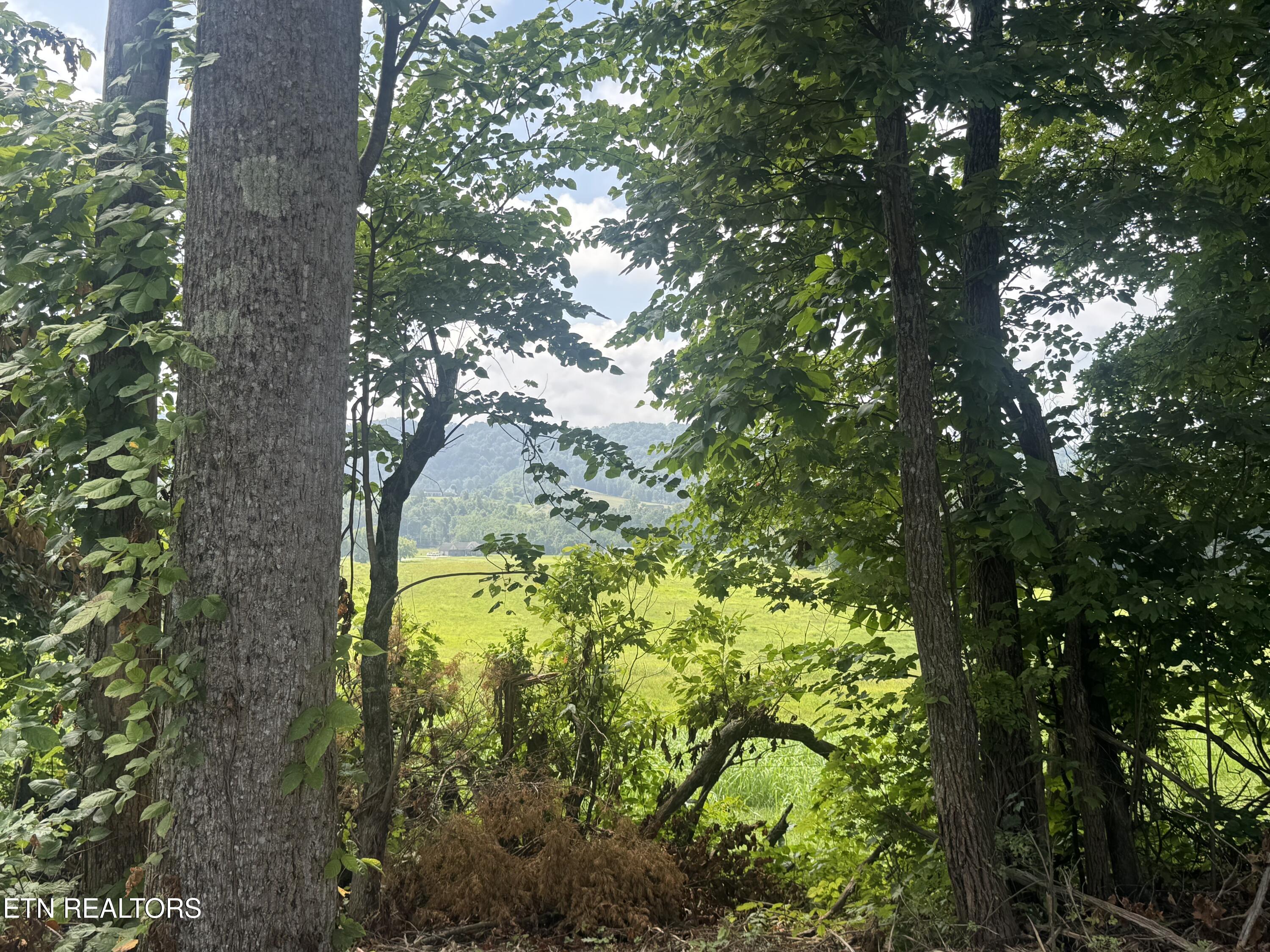 Tract 2 Mill Creek Road Andersonville TN 37705