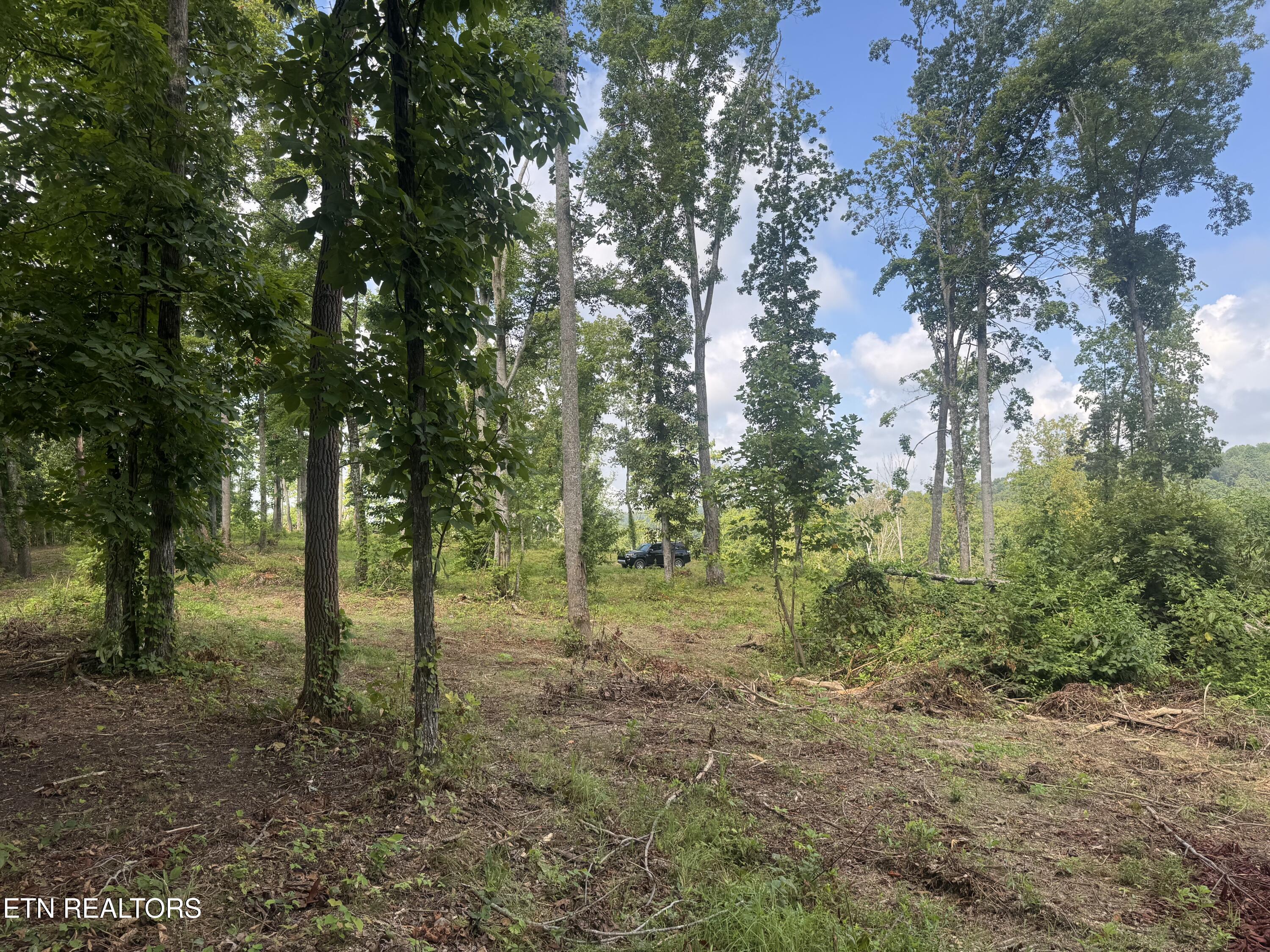 Tract 2 Mill Creek Road Andersonville TN 37705