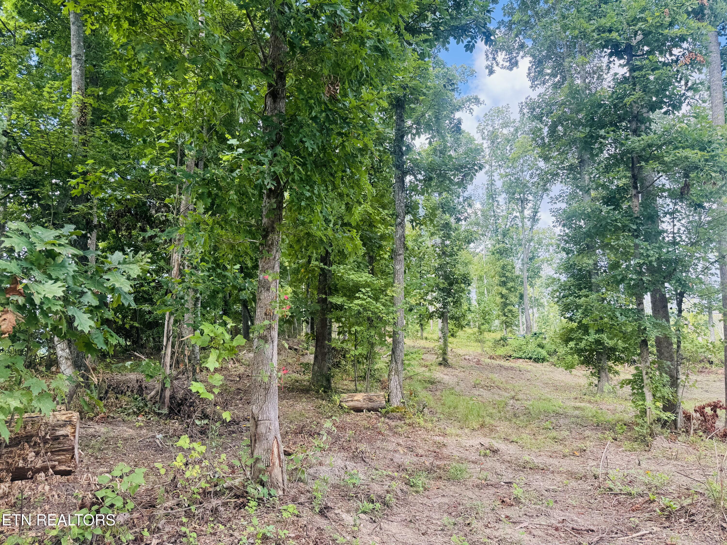 Tract 2 Mill Creek Road Andersonville TN 37705
