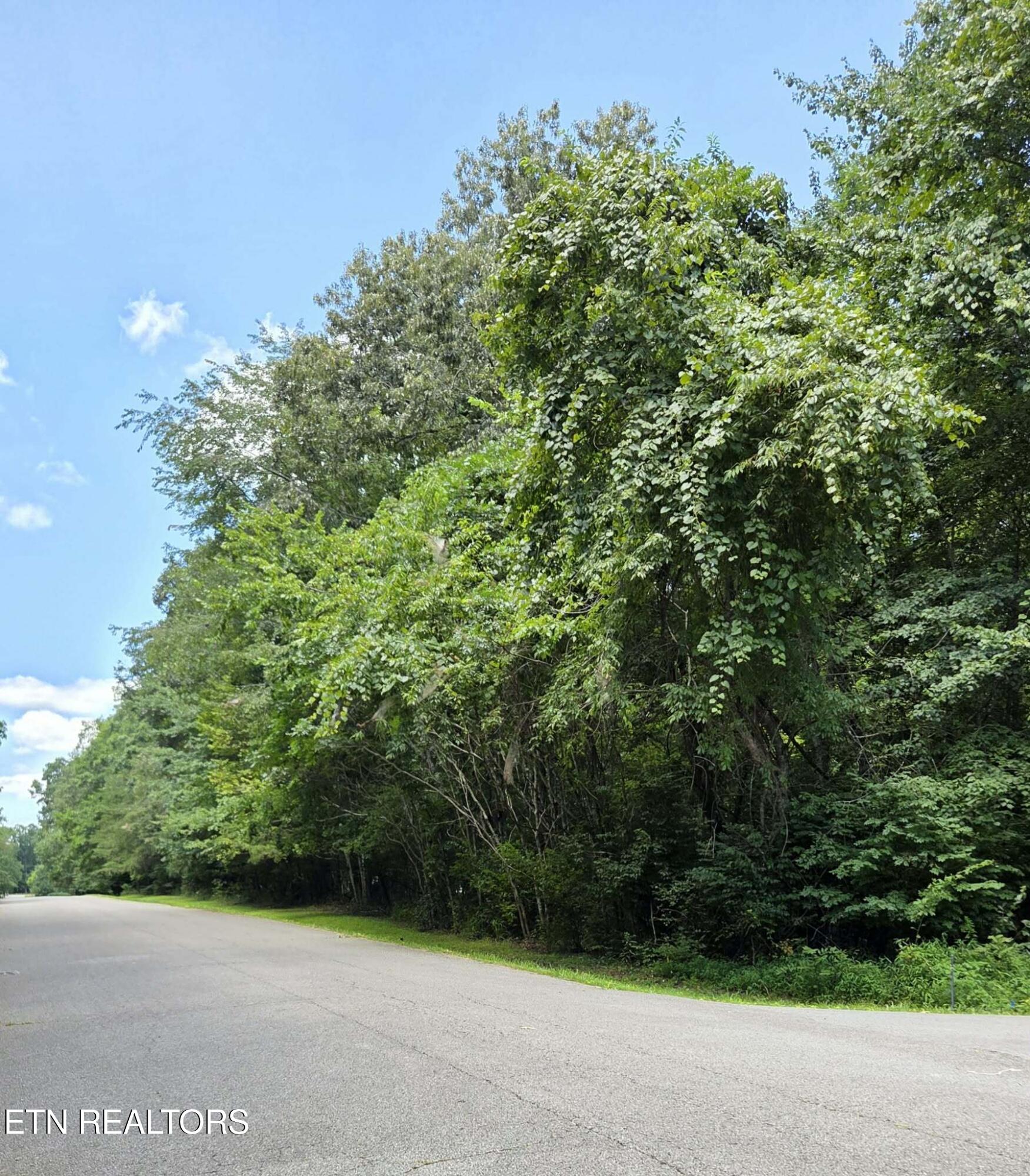 Carrie Drive Crossville TN 38572