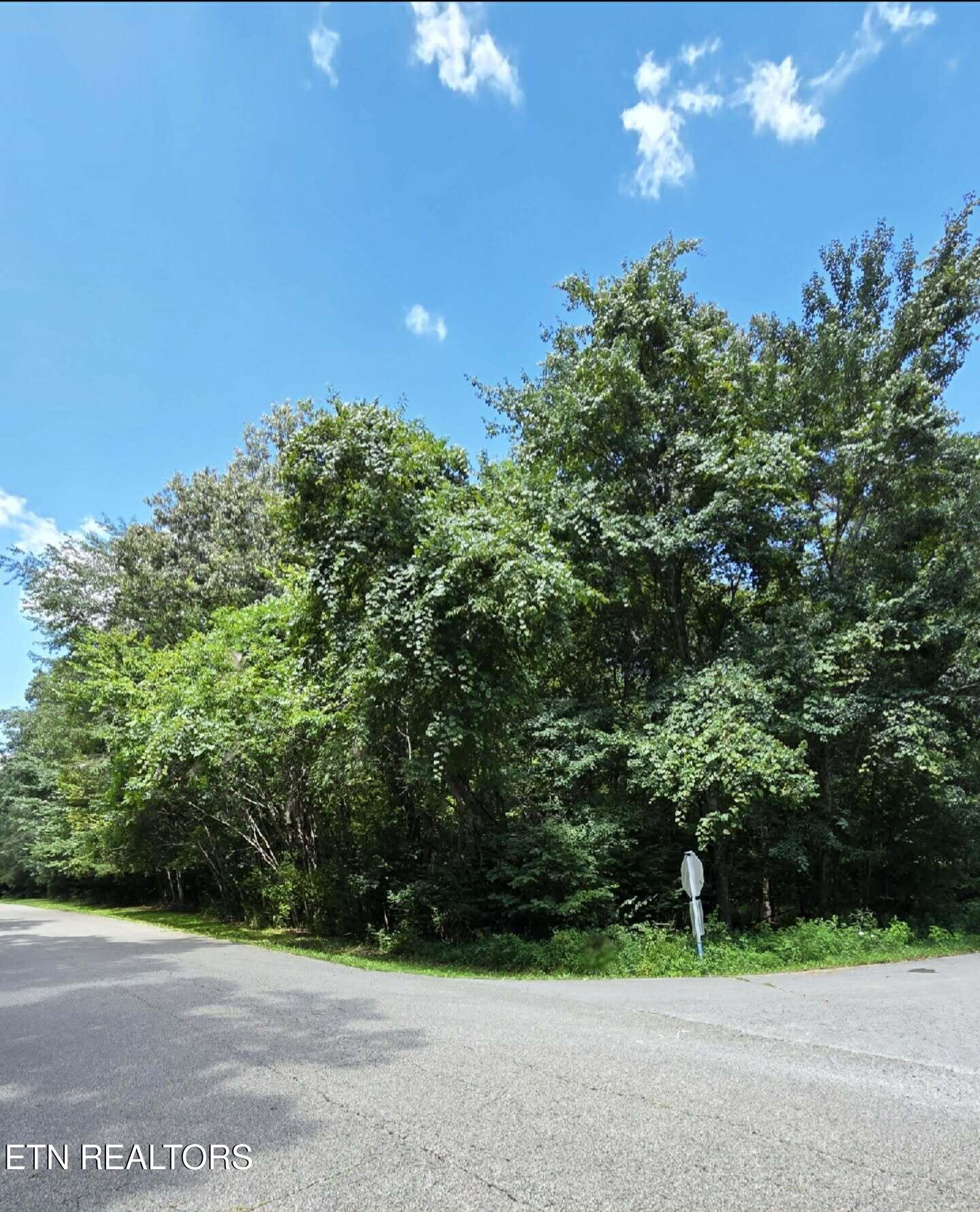Carrie Drive Crossville TN 38572