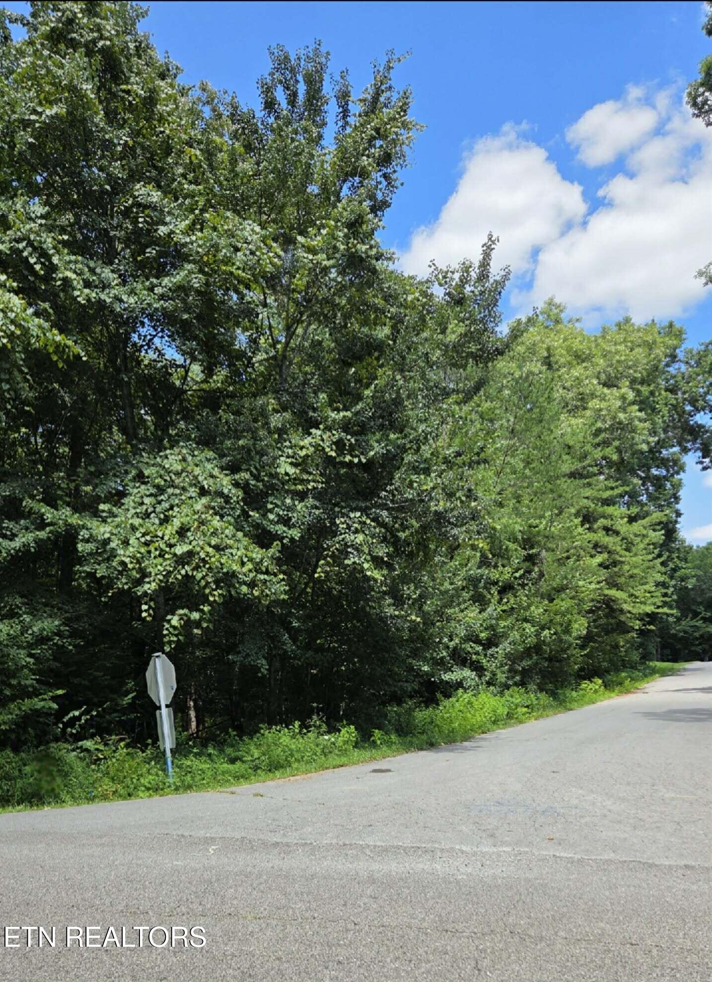 Carrie Drive Crossville TN 38572