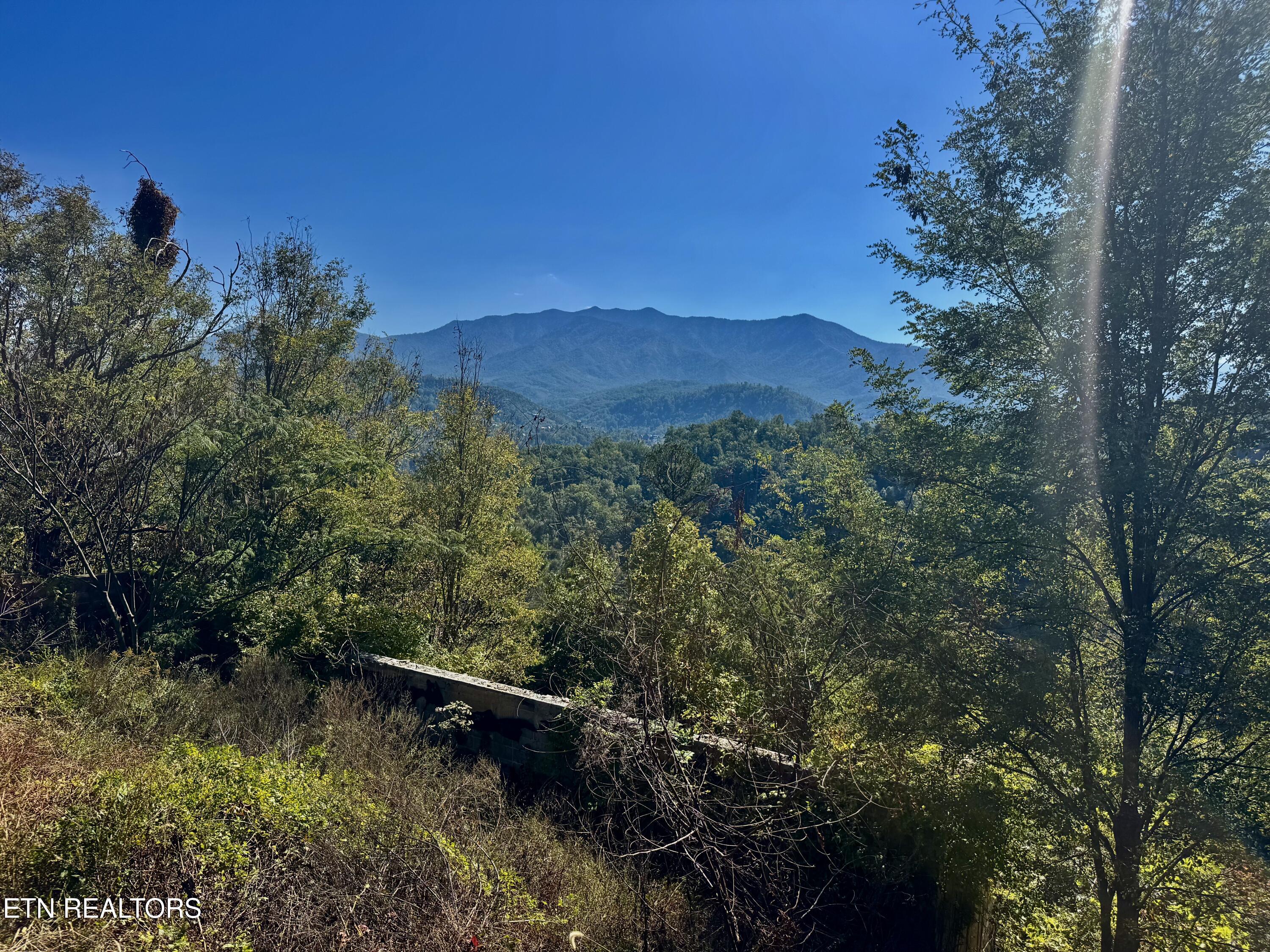 908 E End Court Gatlinburg TN 37738
