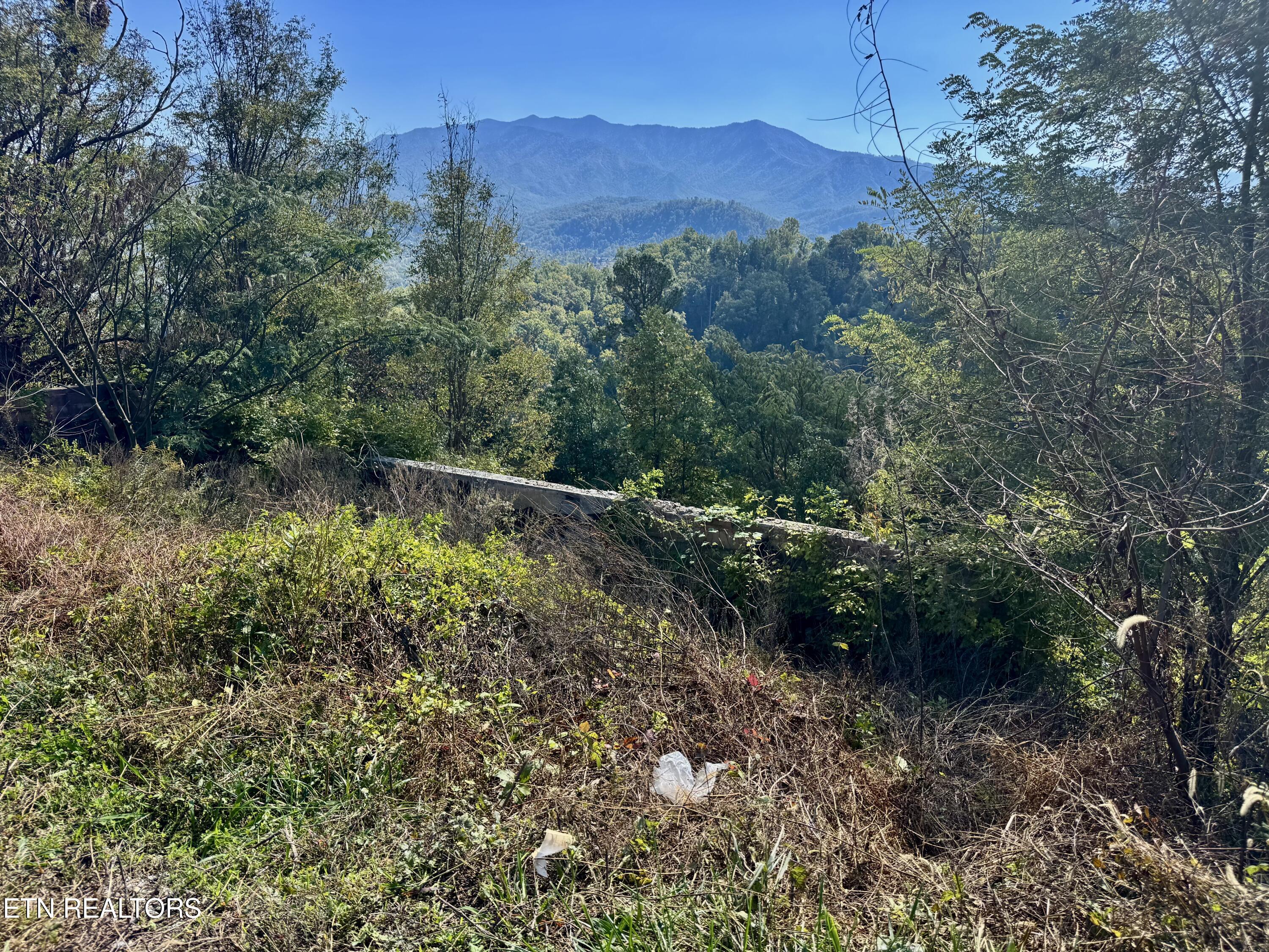 908 E End Court Gatlinburg TN 37738