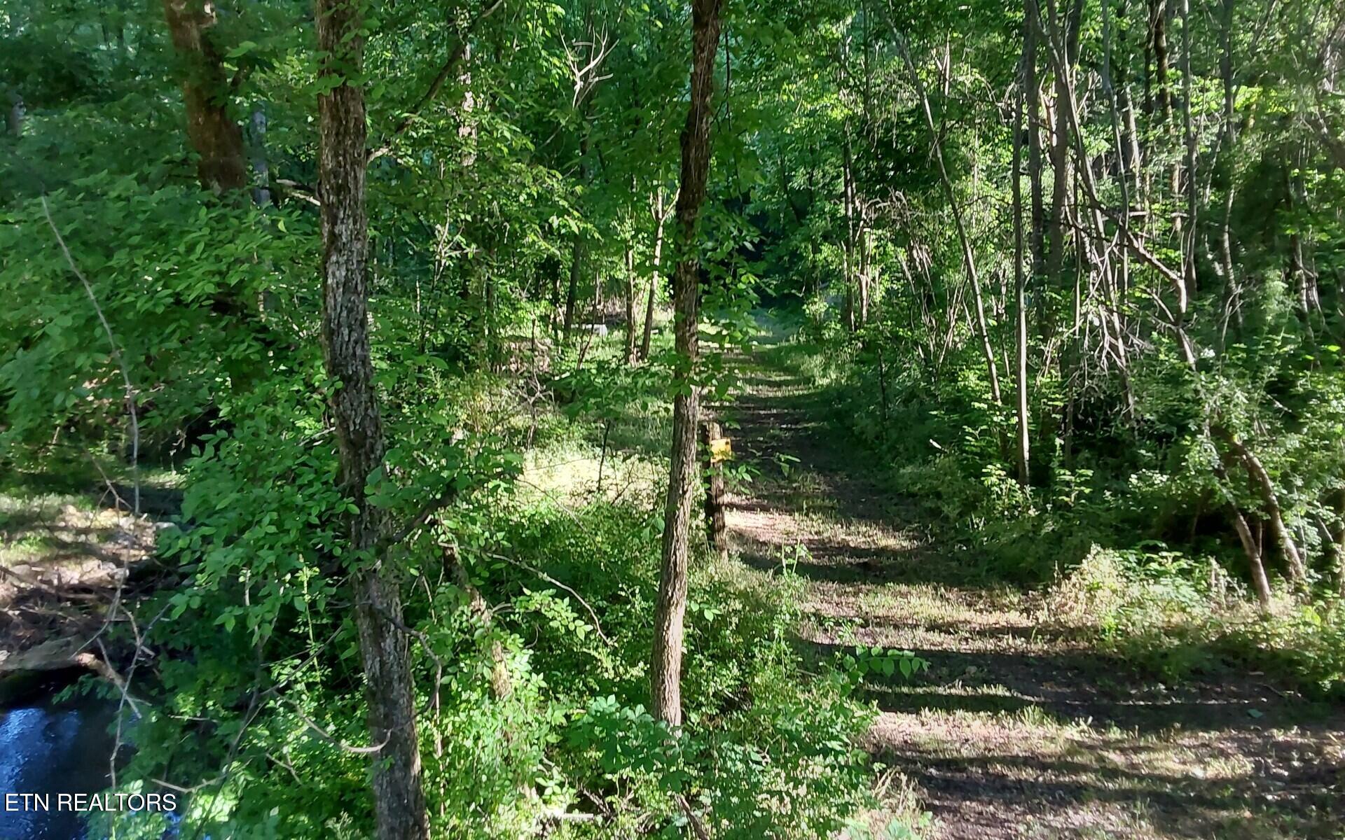 358 County Road 580 Athens TN 37303