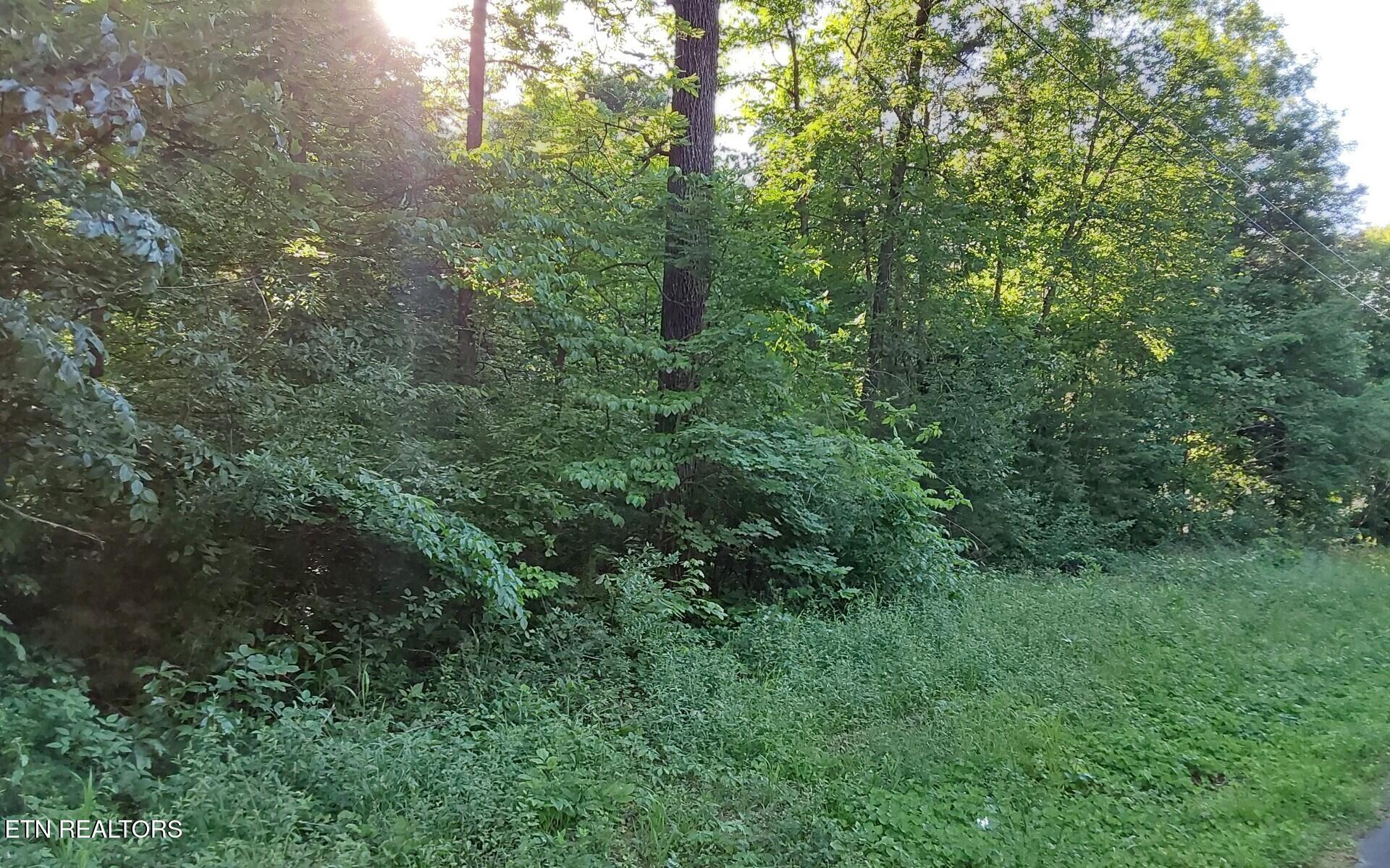 358 County Road 580 Athens TN 37303