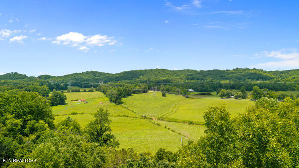 1913 Dry Fork Valley Road Philadelphia TN 37846