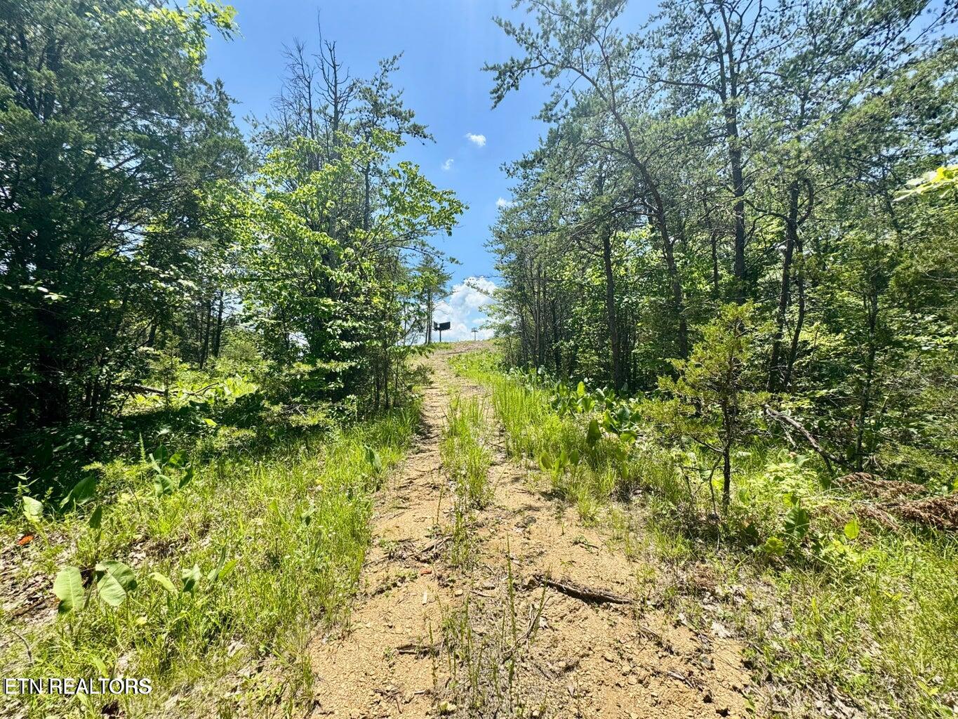 610 Amanda Lane Kodak TN 37764