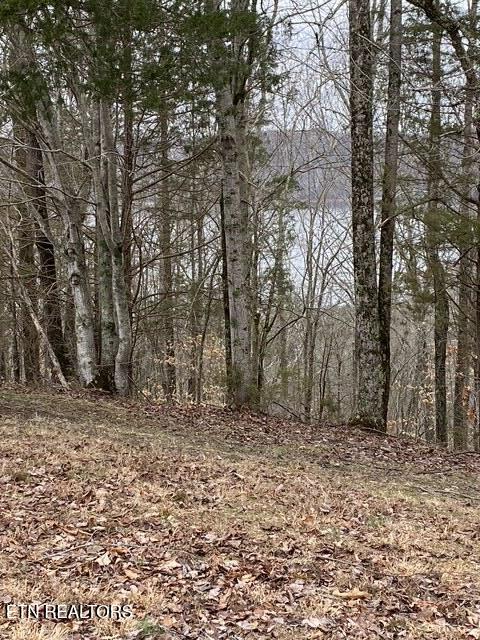 13.31 Ac Austin Ridge Road Baxter TN 38544