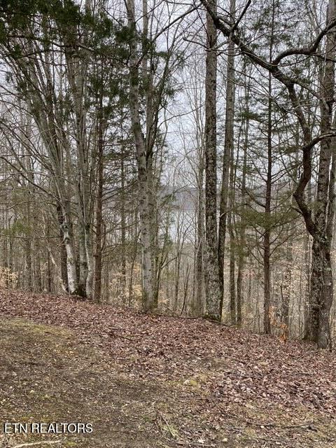 13.31 Ac Austin Ridge Road Baxter TN 38544