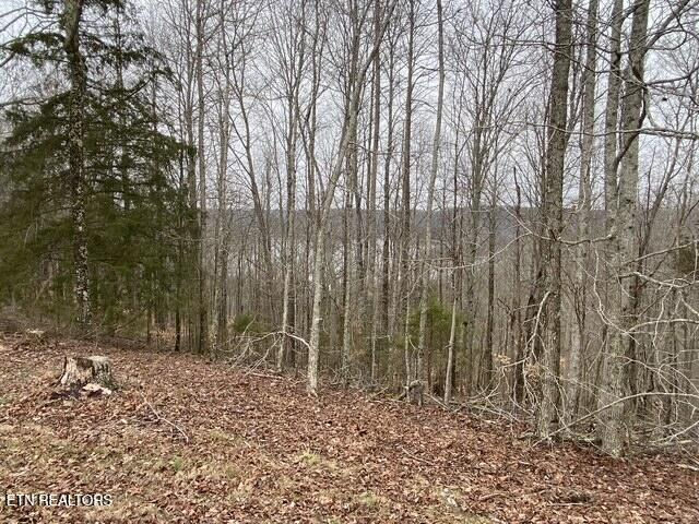 13.31 Ac Austin Ridge Road Baxter TN 38544