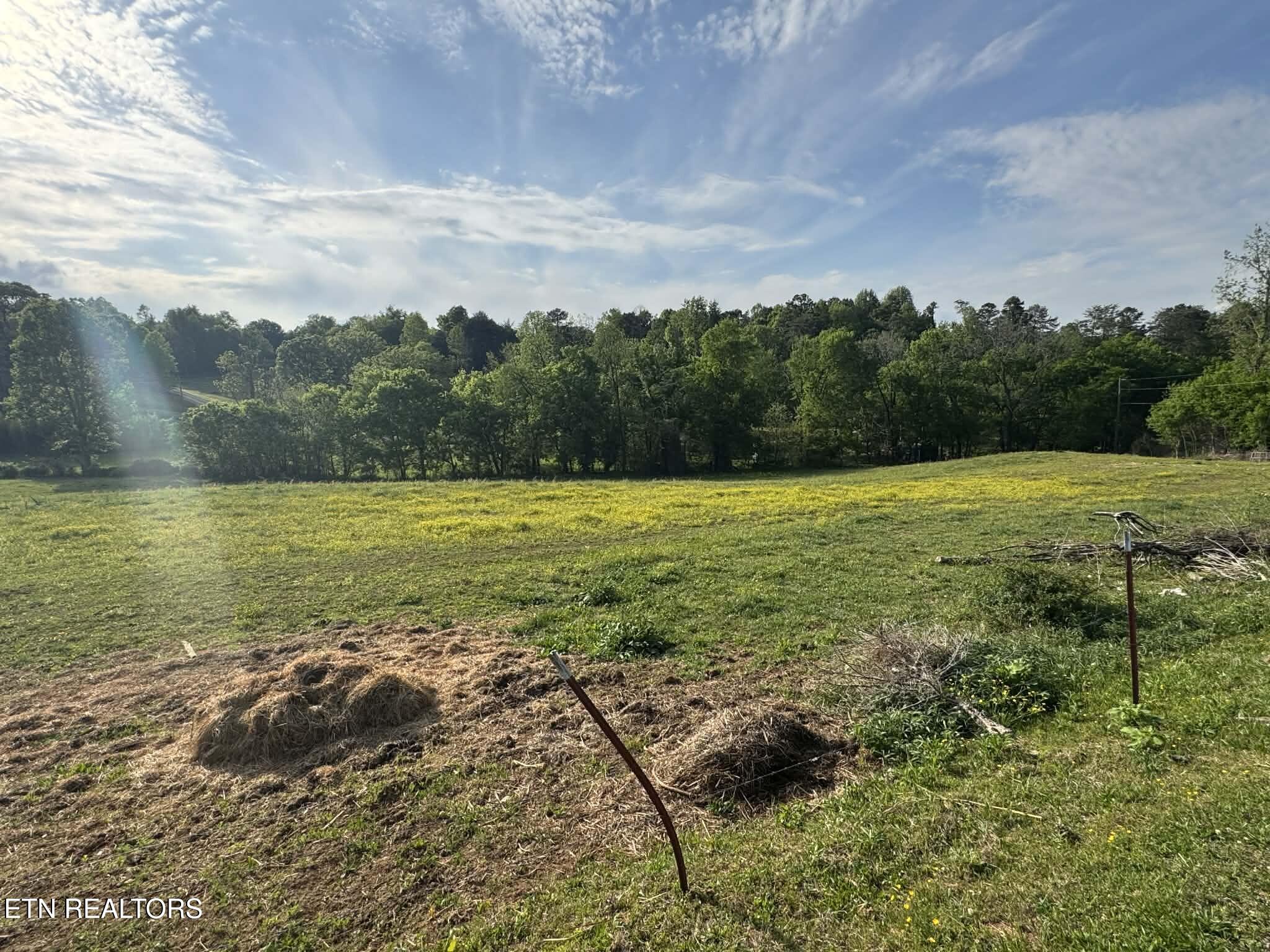 644 Southard Street Tellico Plains TN 37385