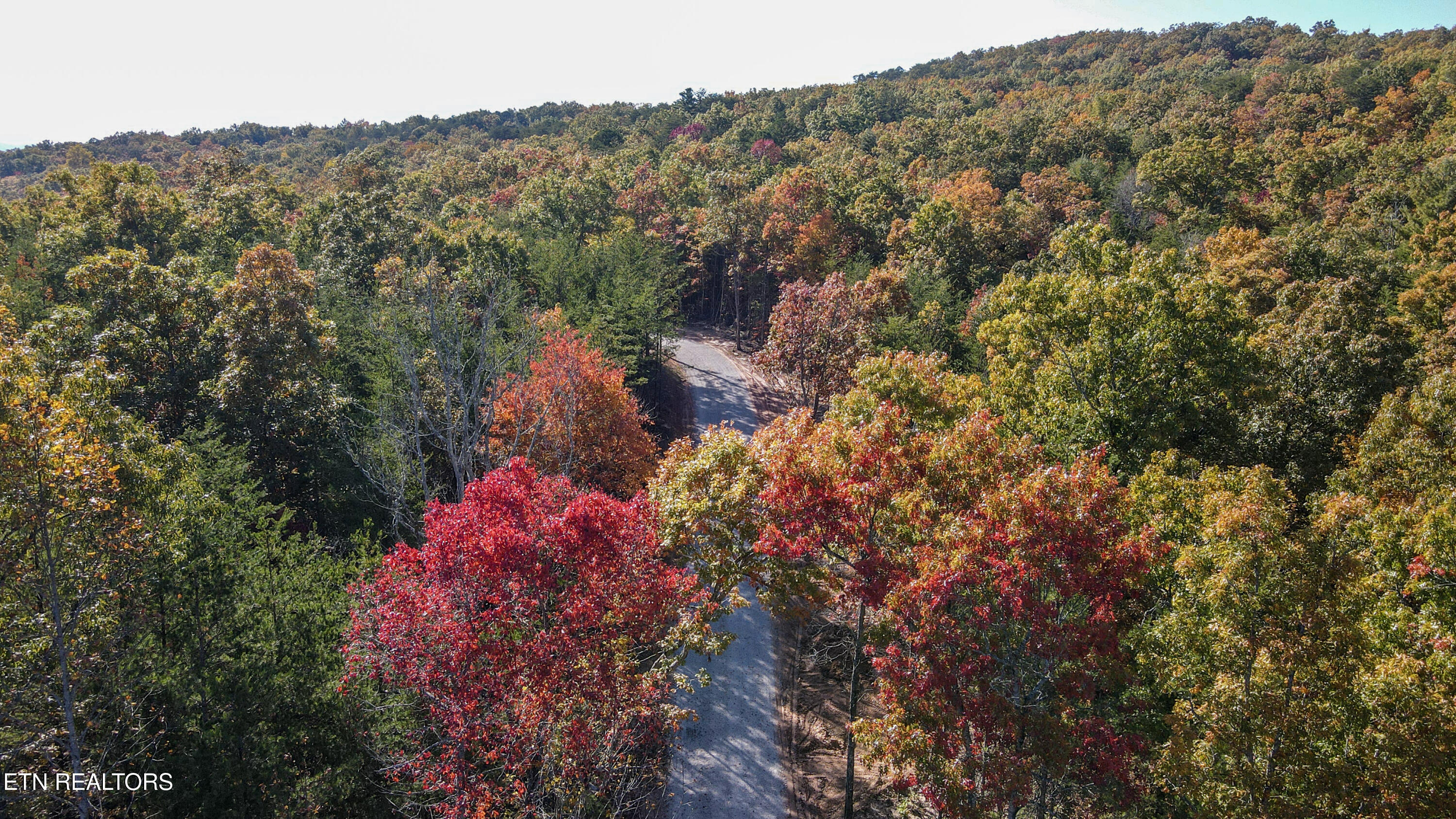 107 Cherokee Path Tellico Plains TN 37385