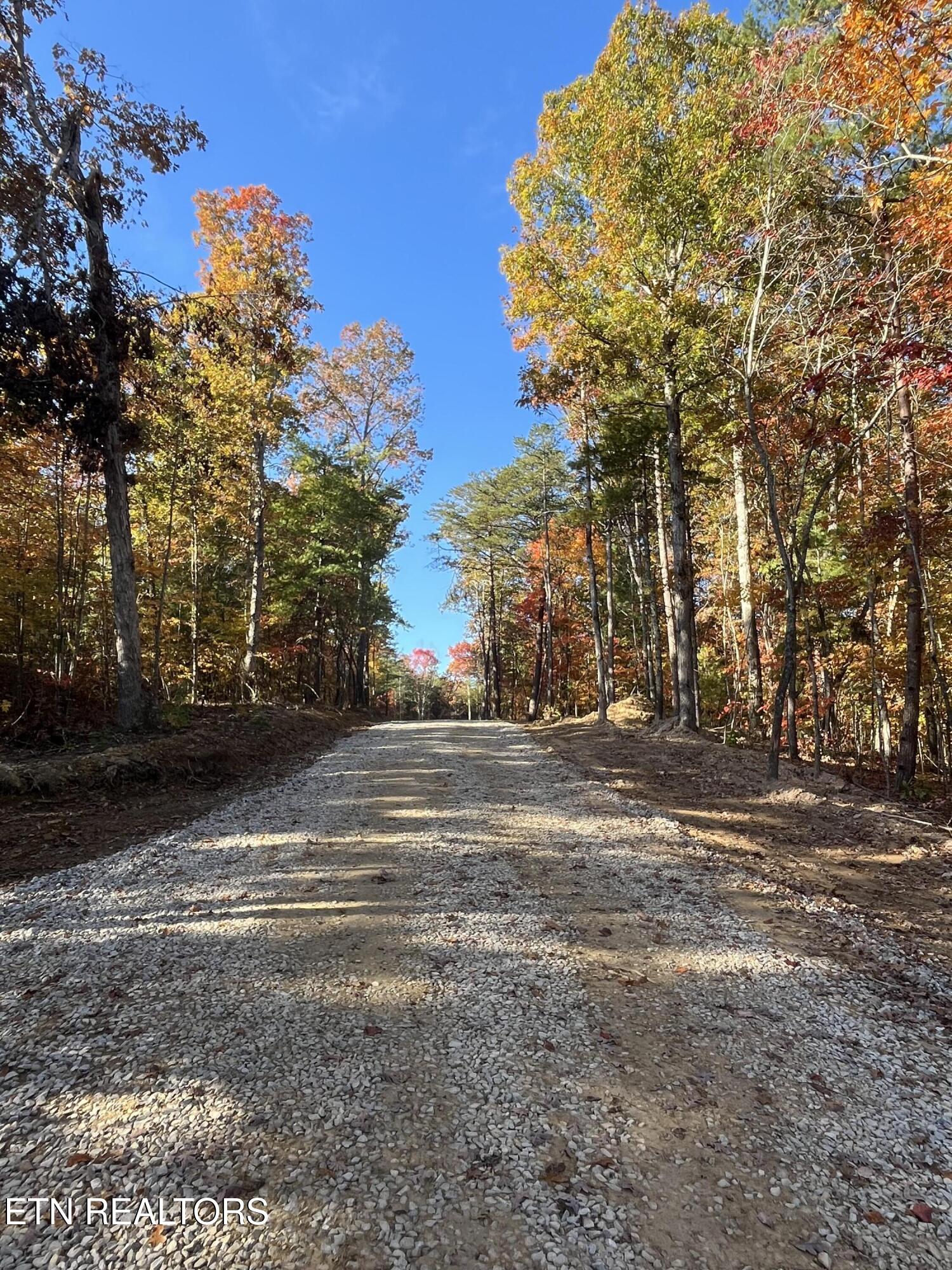 107 Cherokee Path Tellico Plains TN 37385