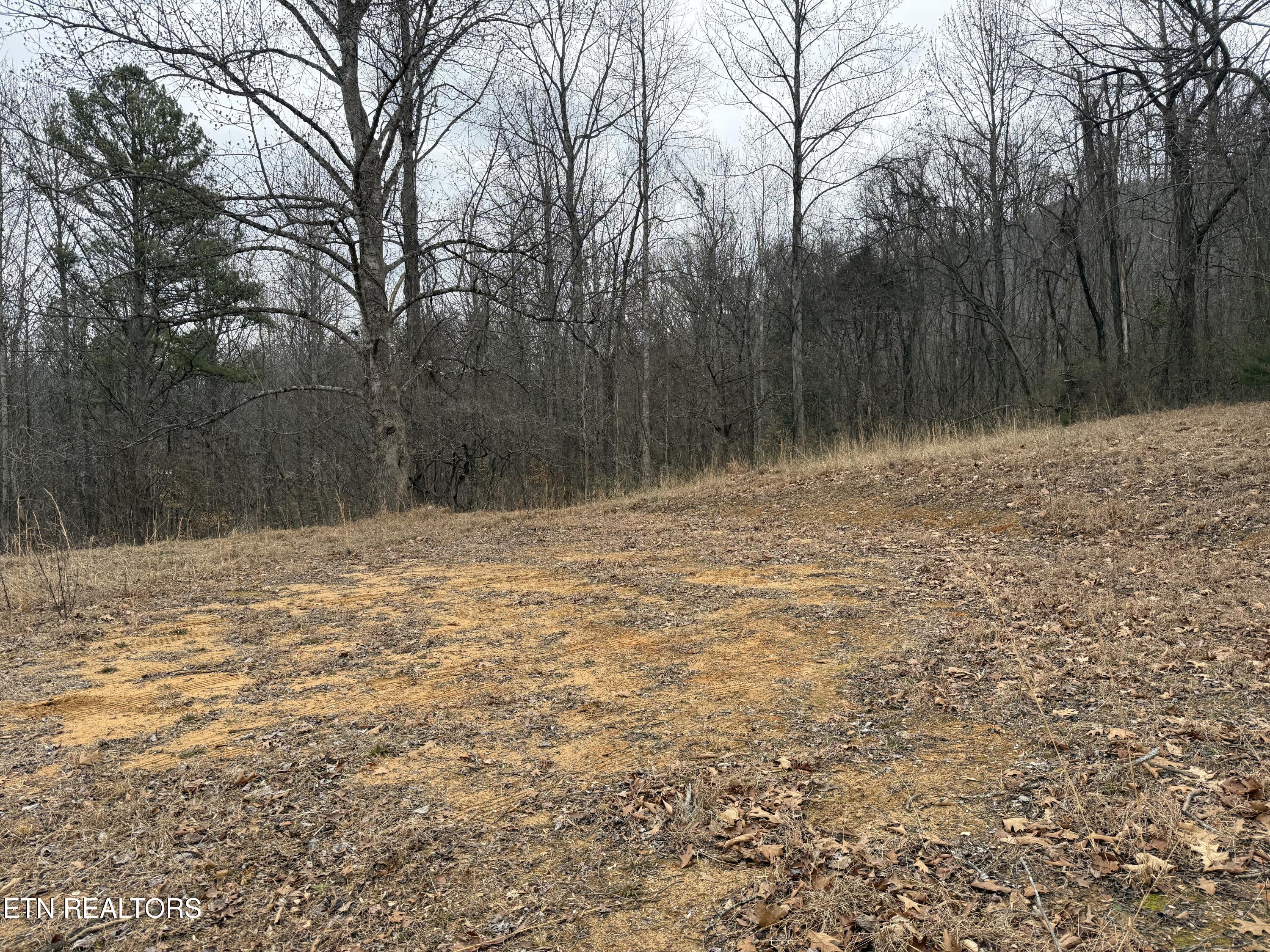 2675 Timberlake Drive Cosby TN 37722