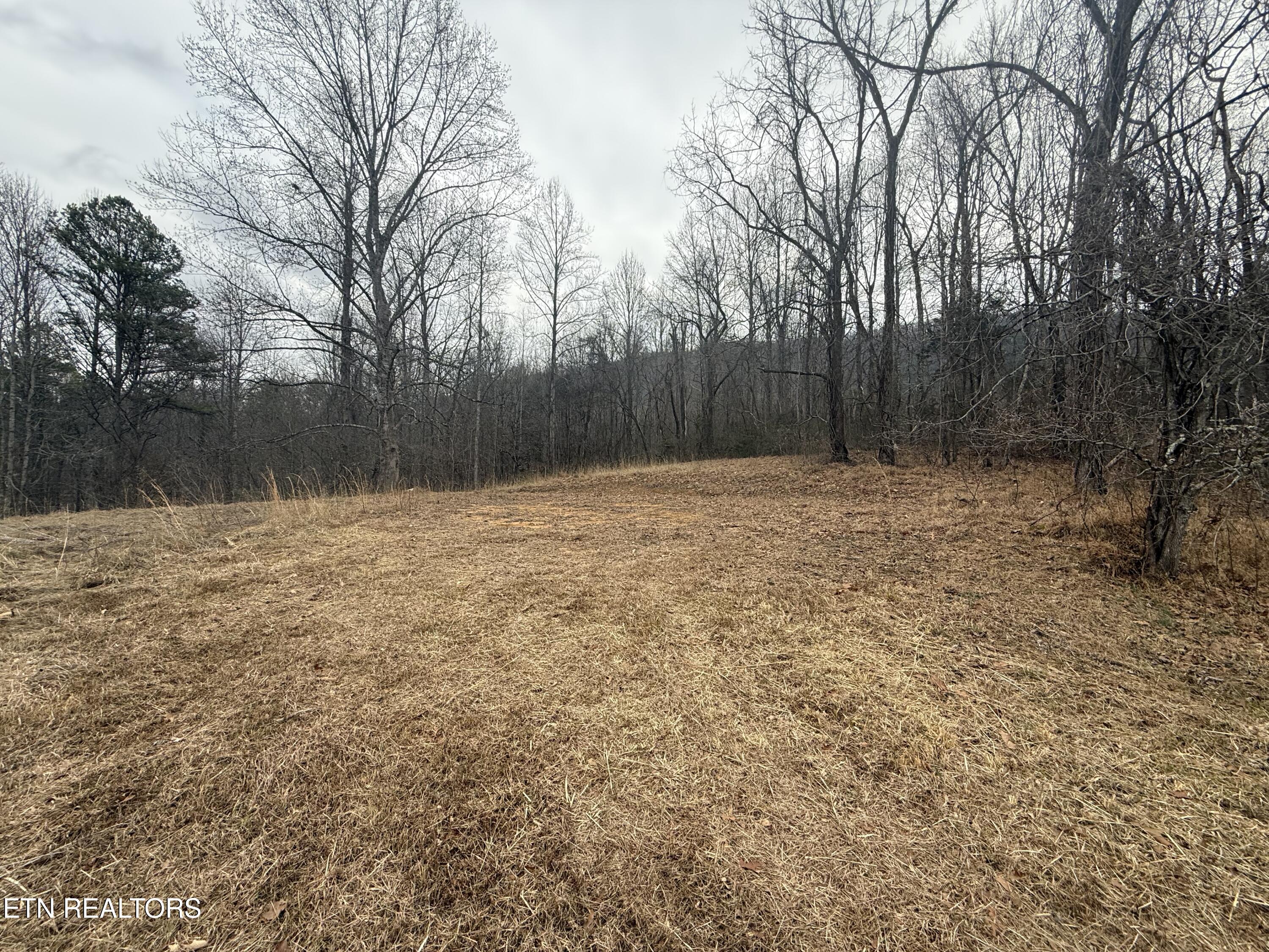 2675 Timberlake Drive Cosby TN 37722