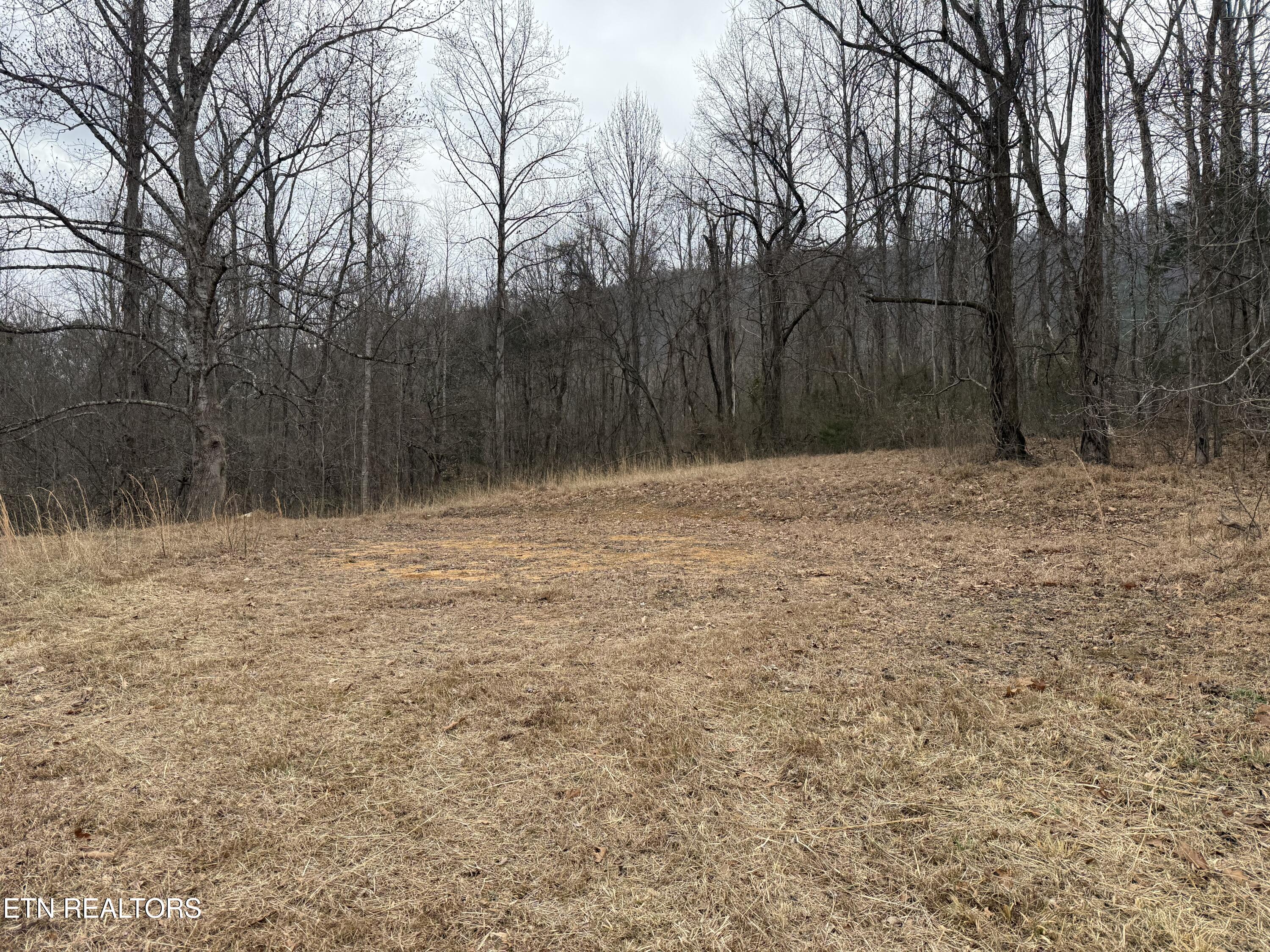 2675 Timberlake Drive Cosby TN 37722