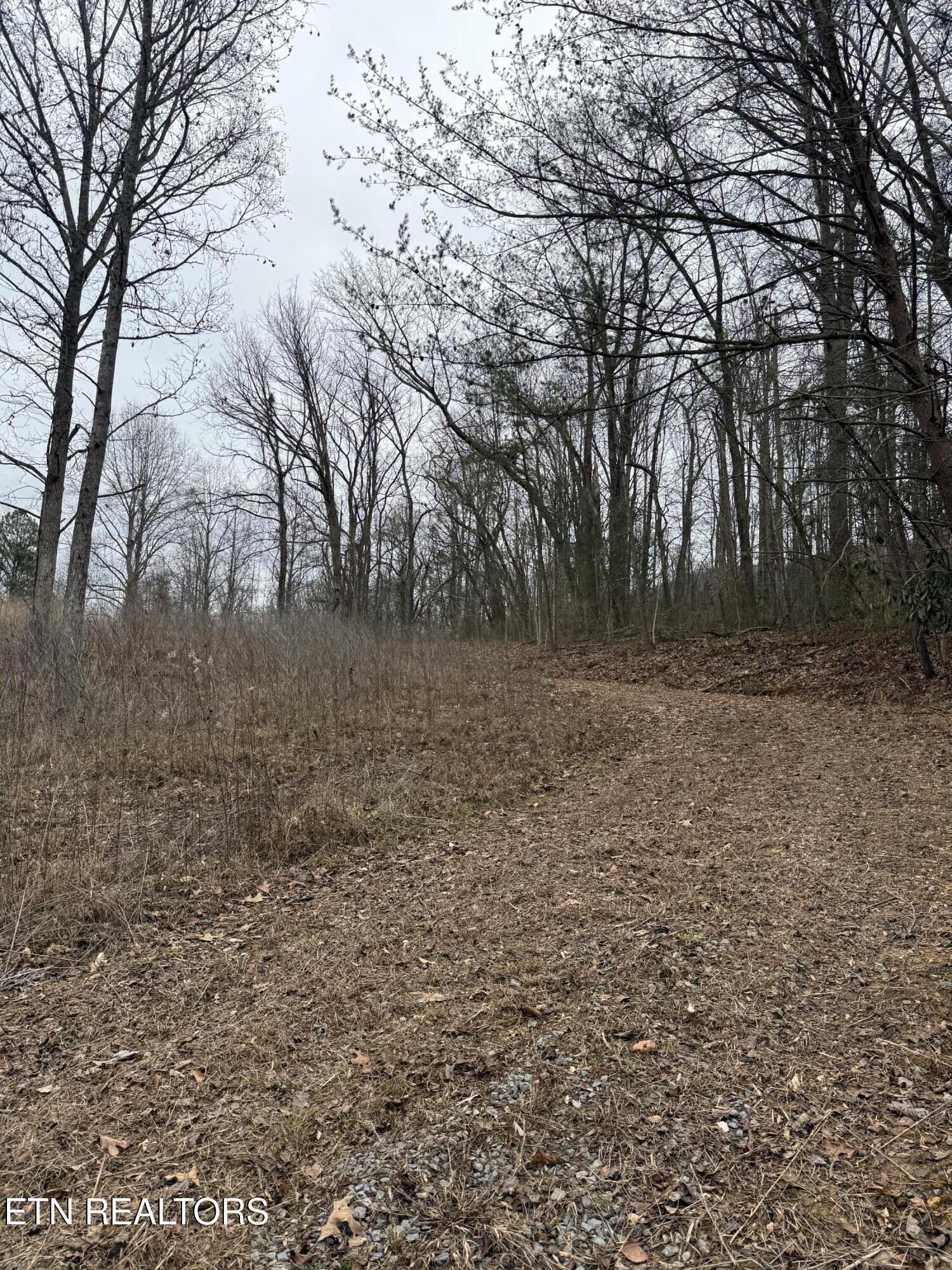 2675 Timberlake Drive Cosby TN 37722