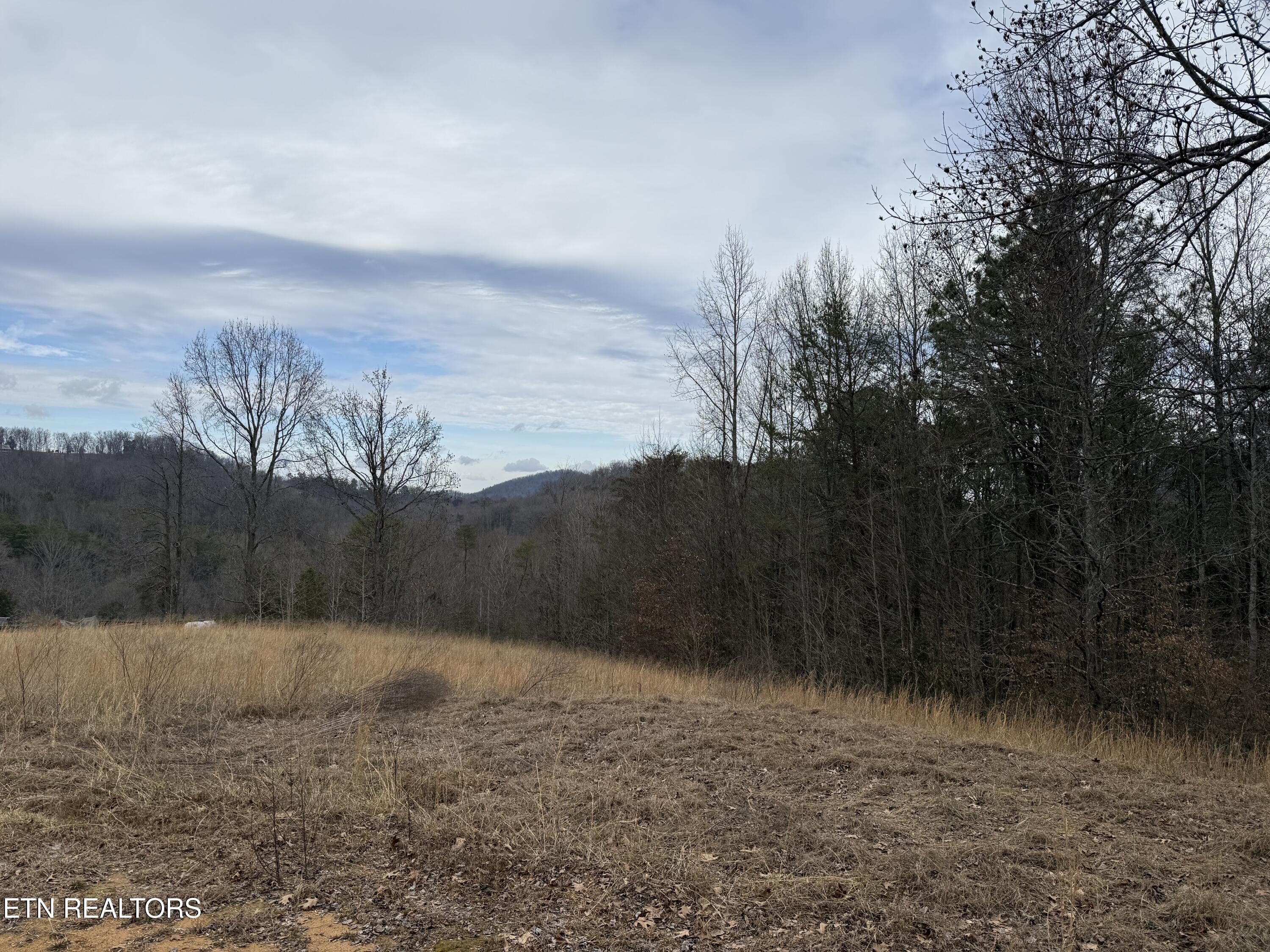 2675 Timberlake Drive Cosby TN 37722
