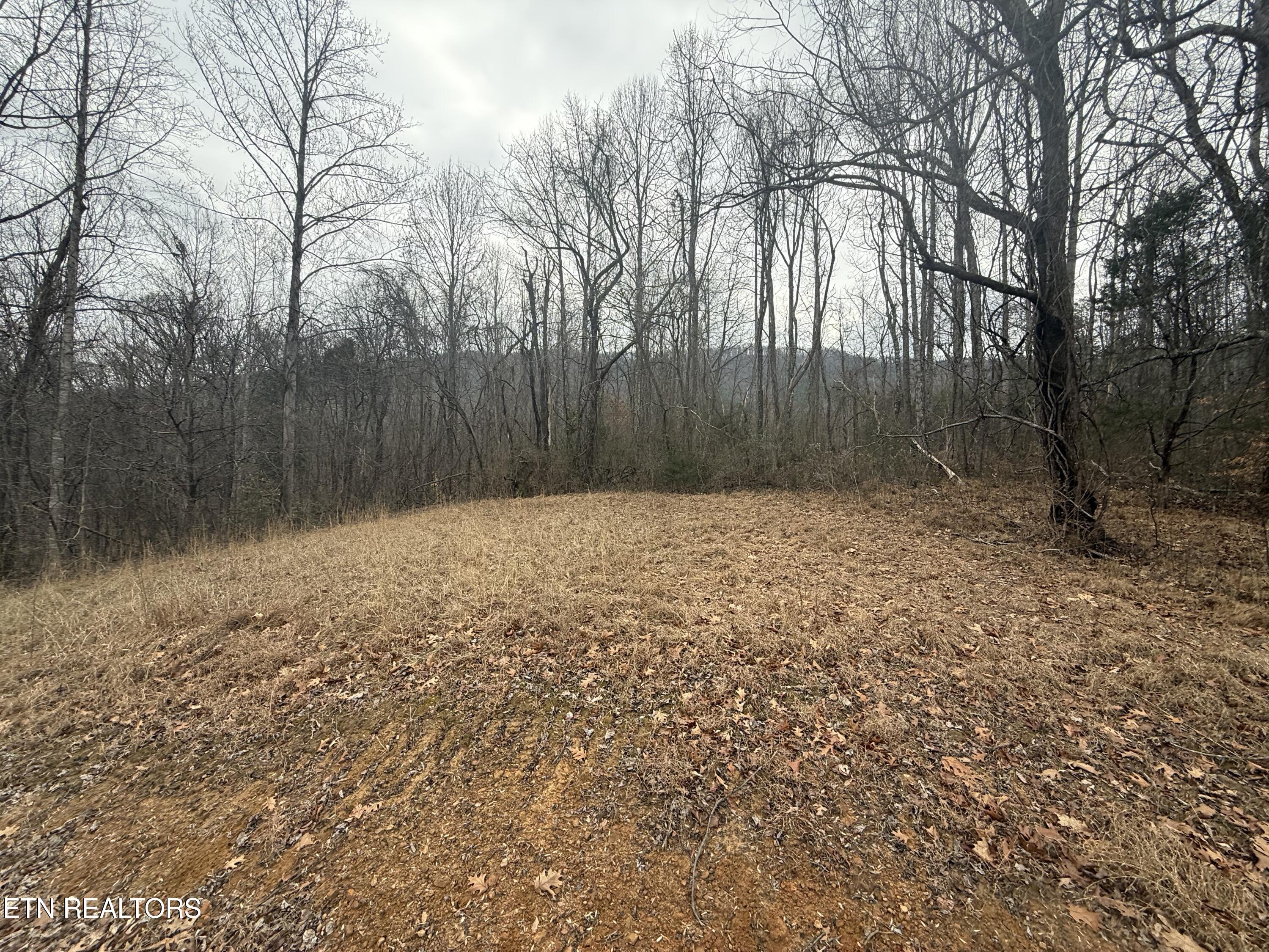2675 Timberlake Drive Cosby TN 37722