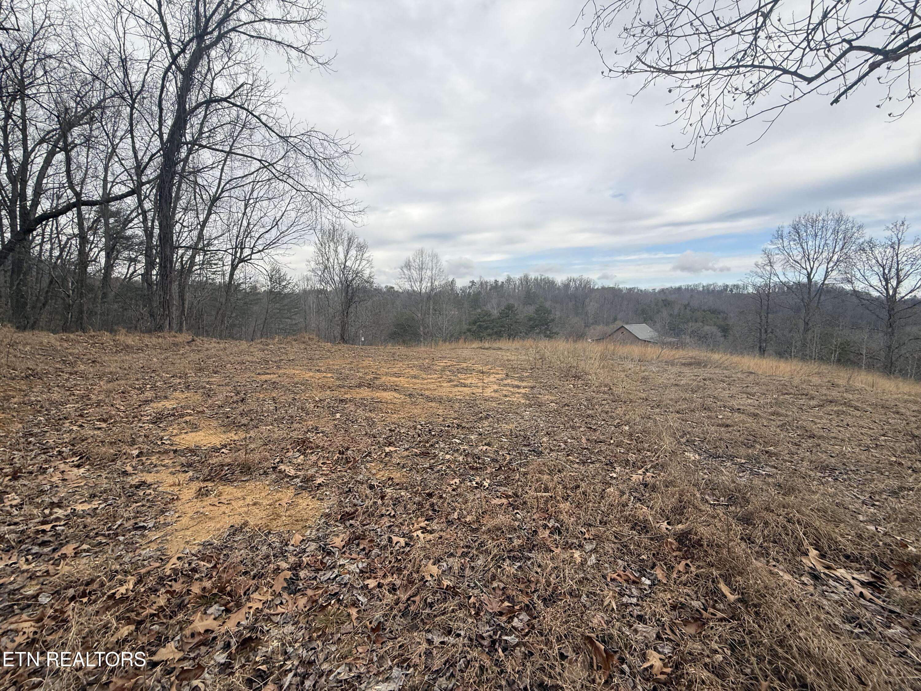 2675 Timberlake Drive Cosby TN 37722