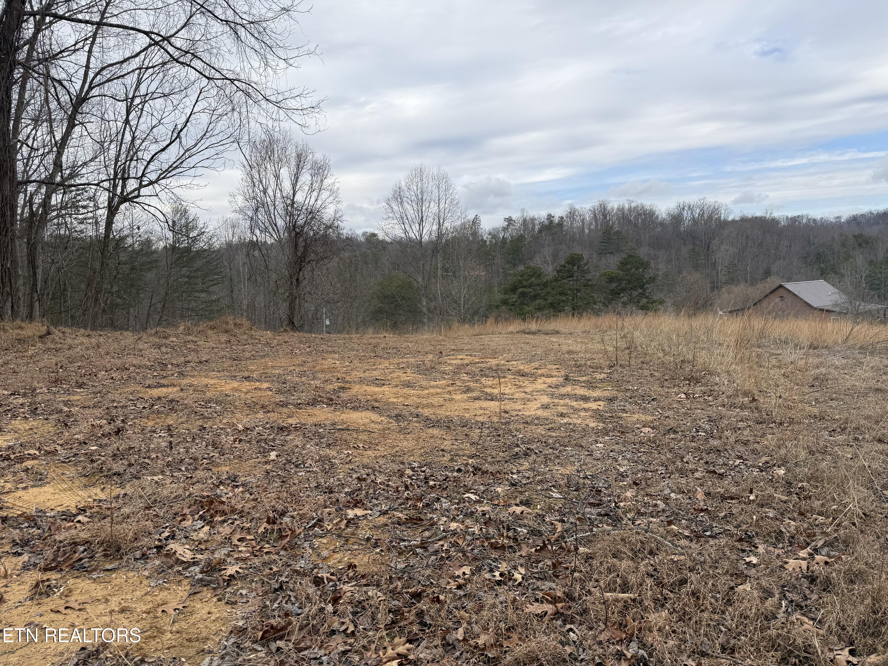2675 Timberlake Drive Cosby TN 37722