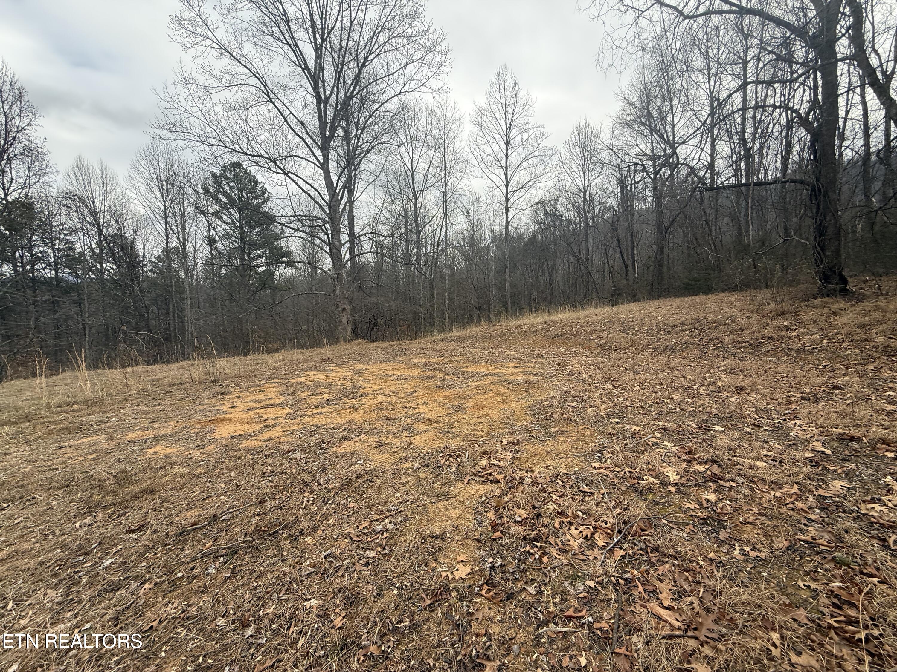 2675 Timberlake Drive Cosby TN 37722