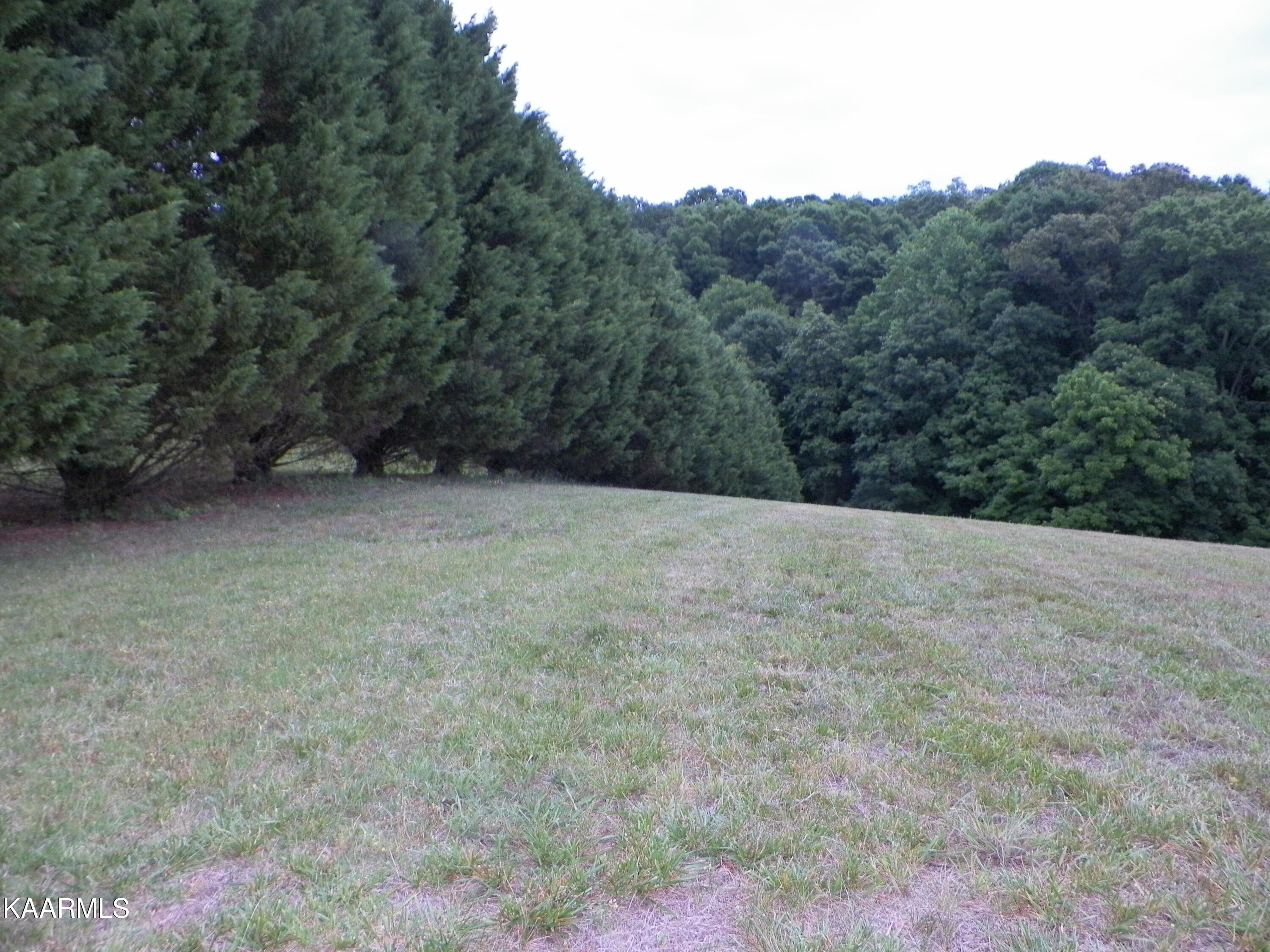 Lot 2 Tranquility Lane Sevierville TN 37876