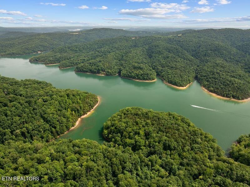 976 Livingston Boat Dock Road Allons TN 38541