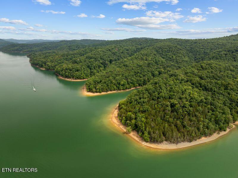 976 Livingston Boat Dock Road Allons TN 38541