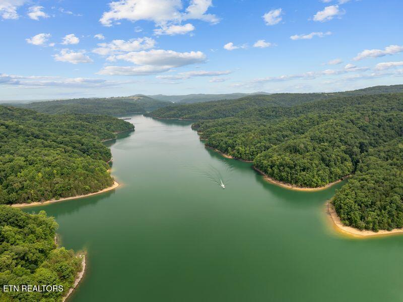 976 Livingston Boat Dock Road Allons TN 38541