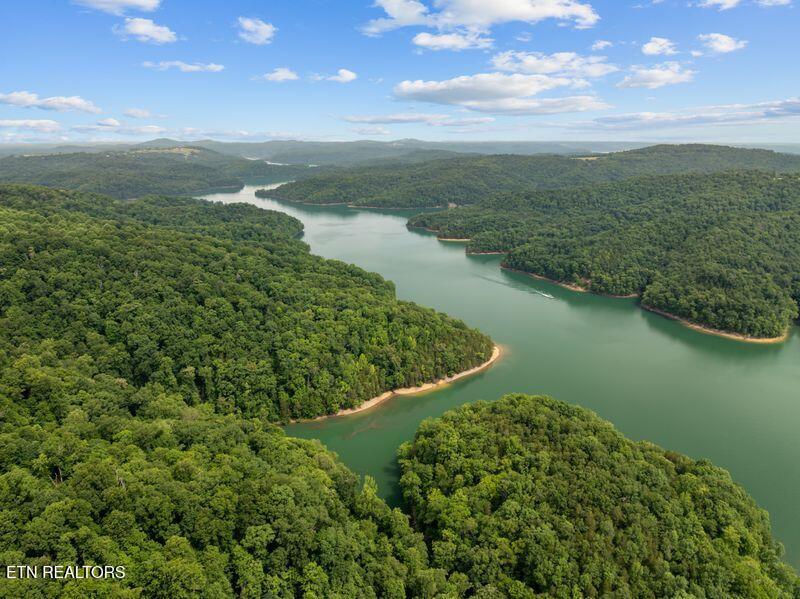 976 Livingston Boat Dock Road Allons TN 38541