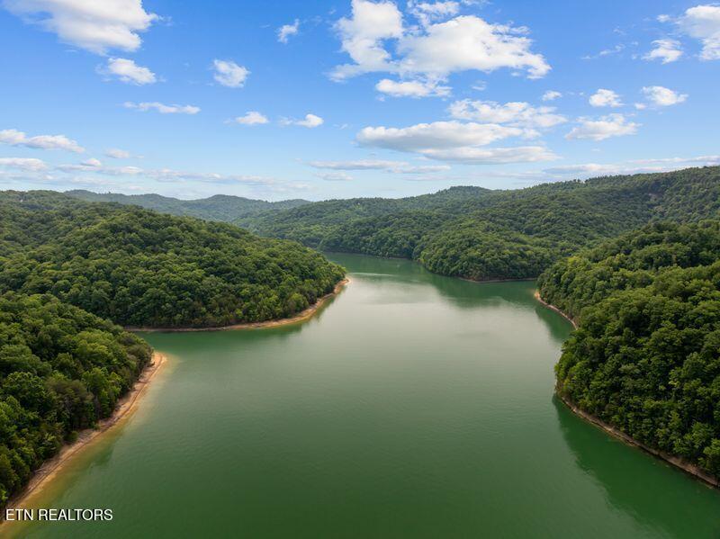 976 Livingston Boat Dock Road Allons TN 38541