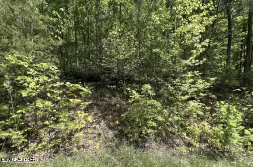 Lot 81 Yellowwood Drive Sevierville TN 37876