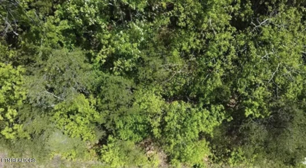 Lot 81 Yellowwood Drive Sevierville TN 37876