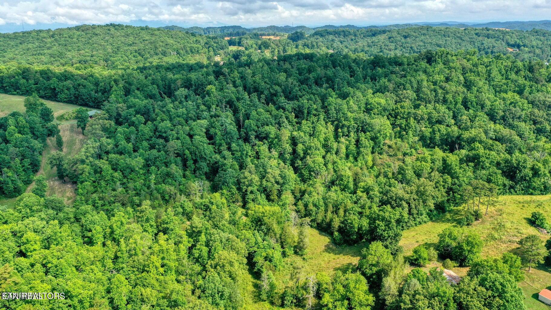 E Raccoon Valley Drive Heiskell TN 37754