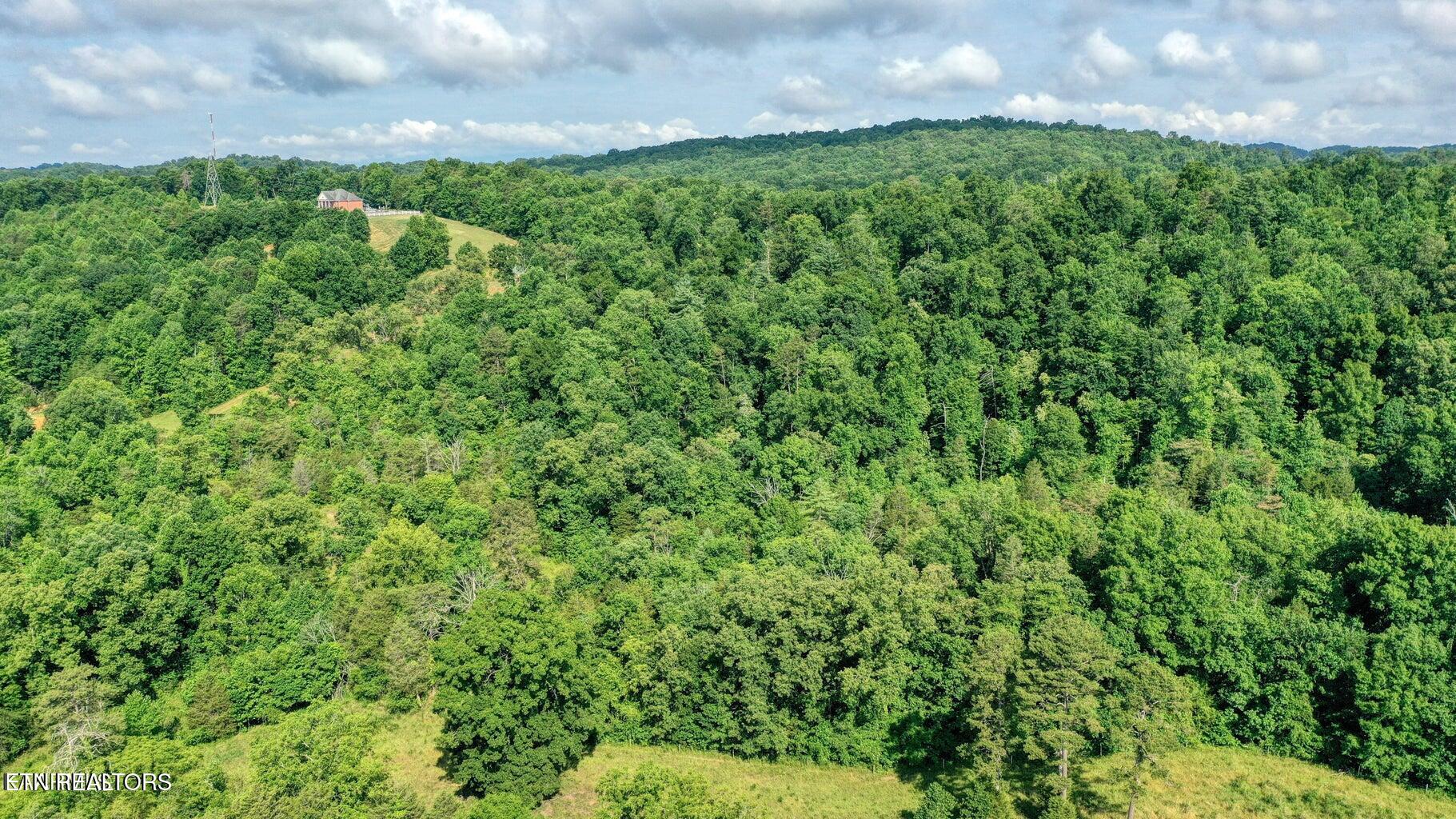 E Raccoon Valley Drive Heiskell TN 37754