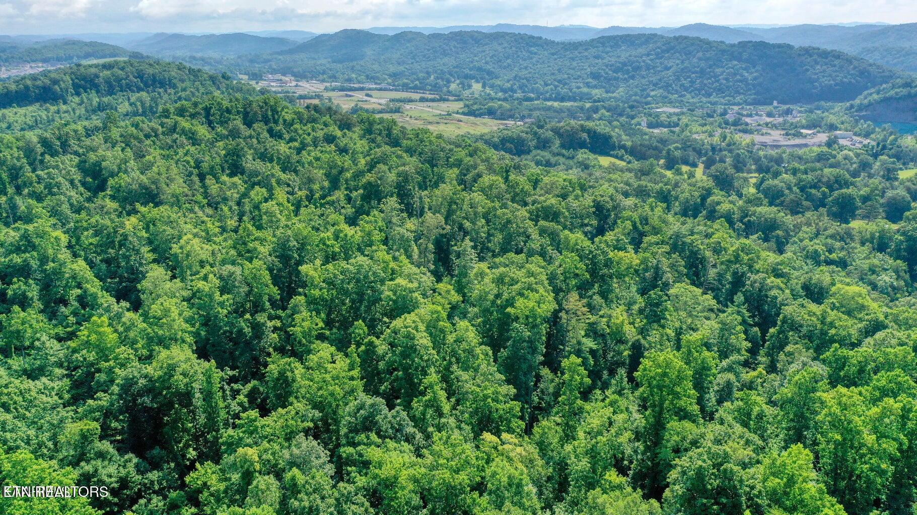 E Raccoon Valley Drive Heiskell TN 37754