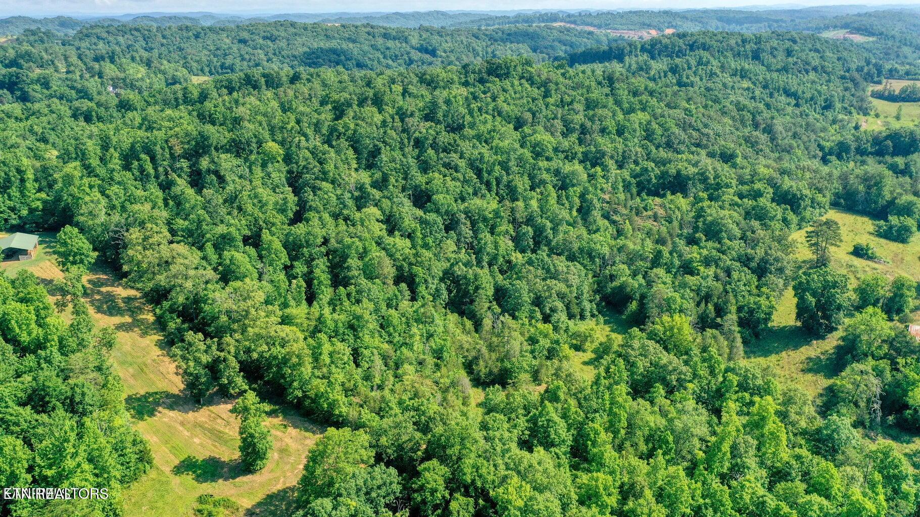 E Raccoon Valley Drive Heiskell TN 37754