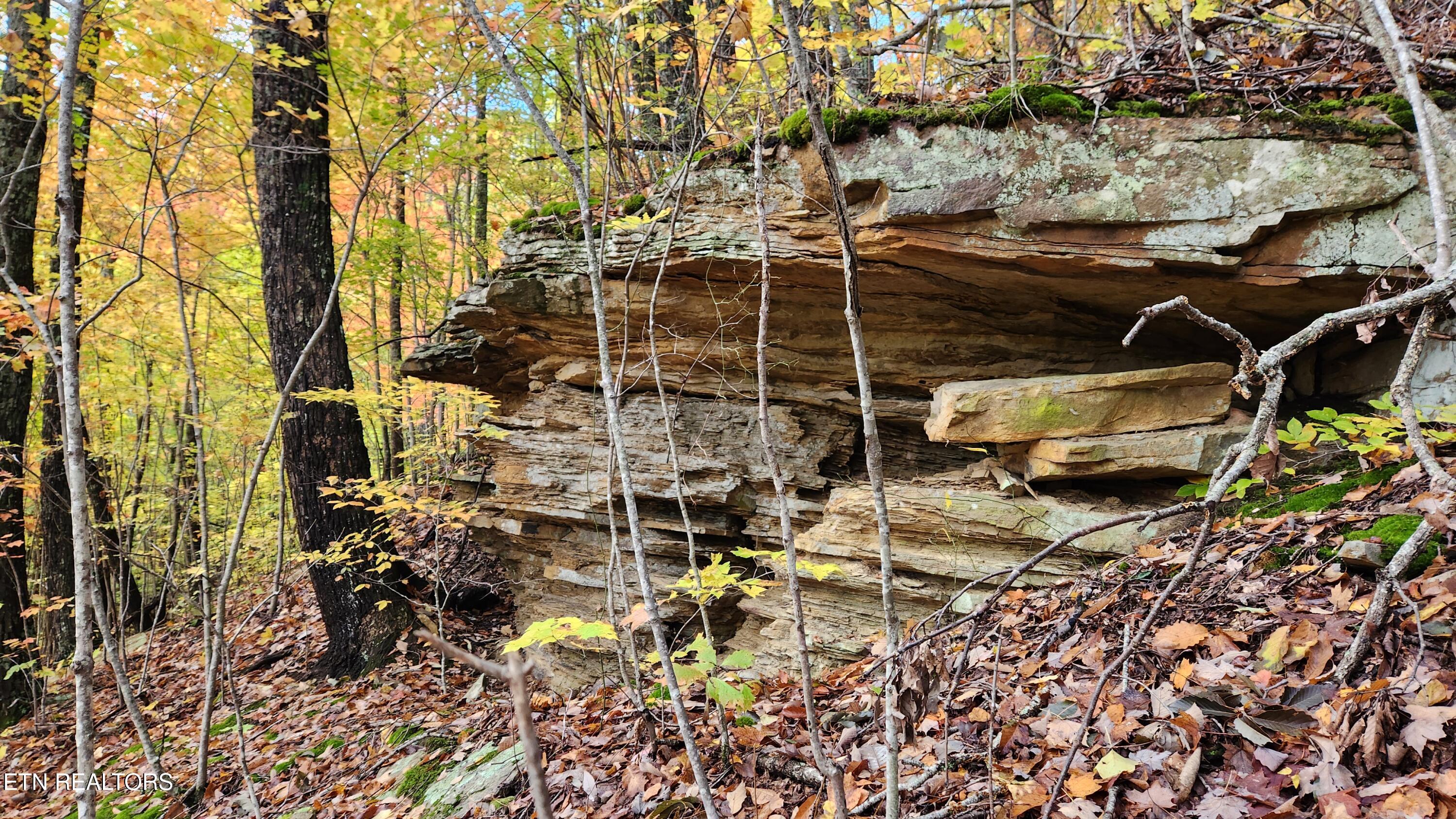 00 Buffalo Road Oneida TN 37841