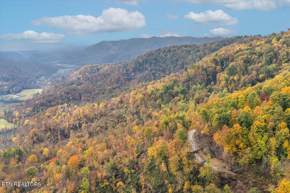 00 Buffalo Road Oneida TN 37841