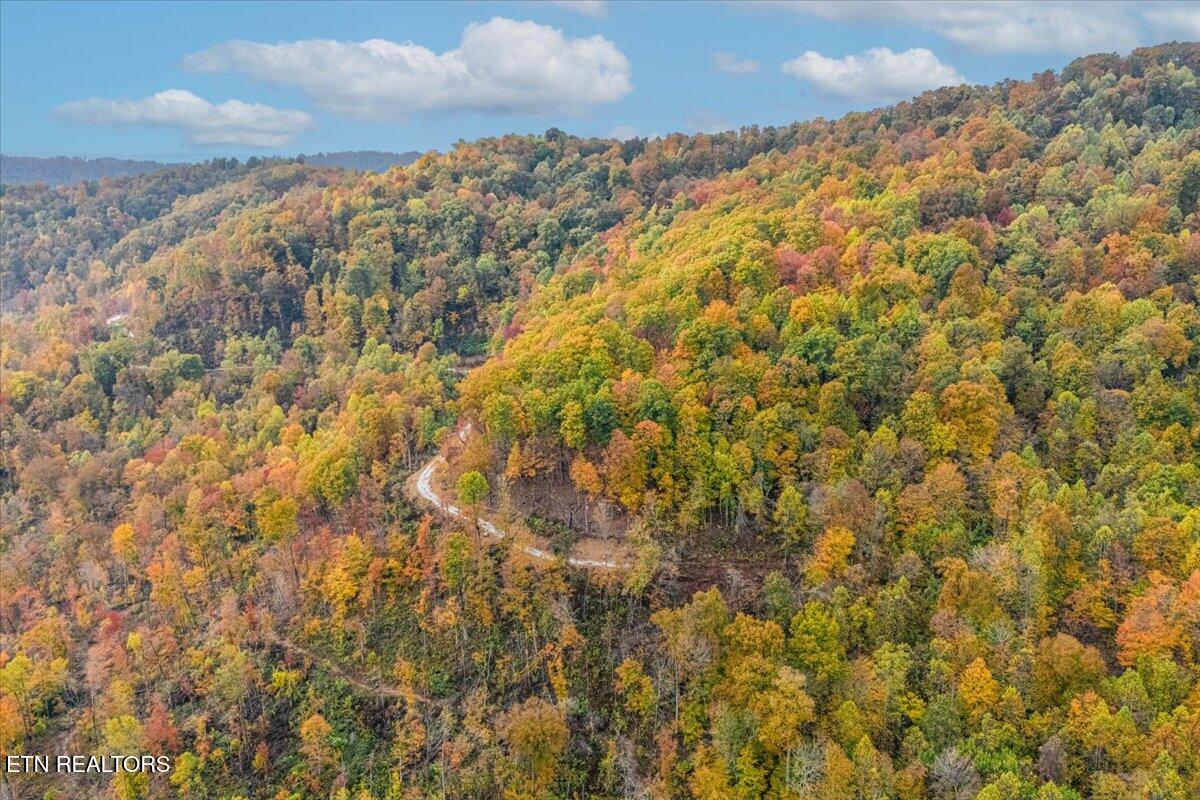 00 Buffalo Road Oneida TN 37841