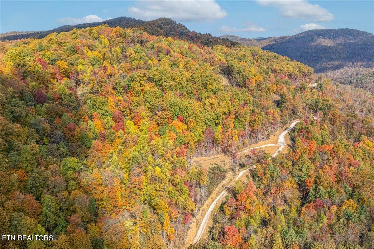 00 Buffalo Road Oneida TN 37841