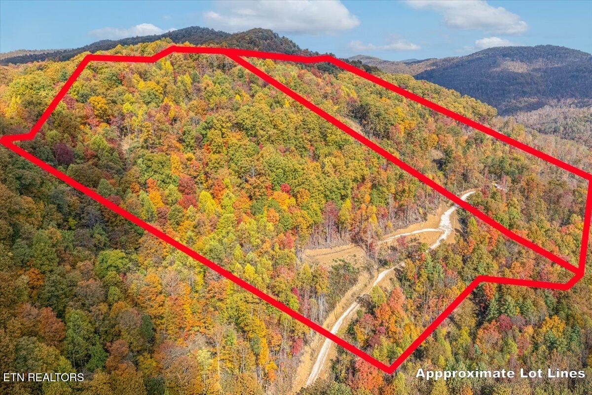 00 Buffalo Road Oneida TN 37841